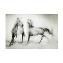 Canvas Wall Art - Martine Benezech 'Shivers' Wall Art for Living Room, Bedroom, or Office D?cor by Trademark Fine Art - 19 x 12 Inches