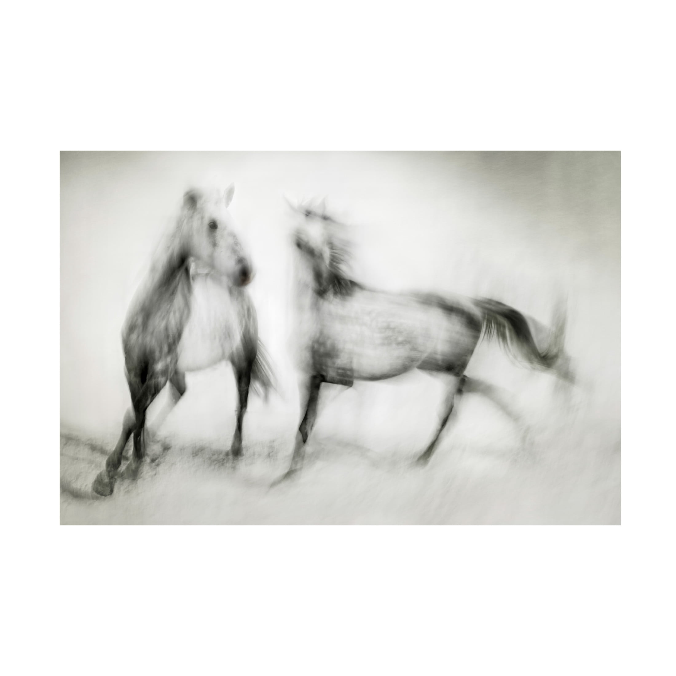 Canvas Wall Art - Martine Benezech 'Shivers' Wall Art for Living Room, Bedroom, or Office D?cor by Trademark Fine Art - 47 x 30 Inches