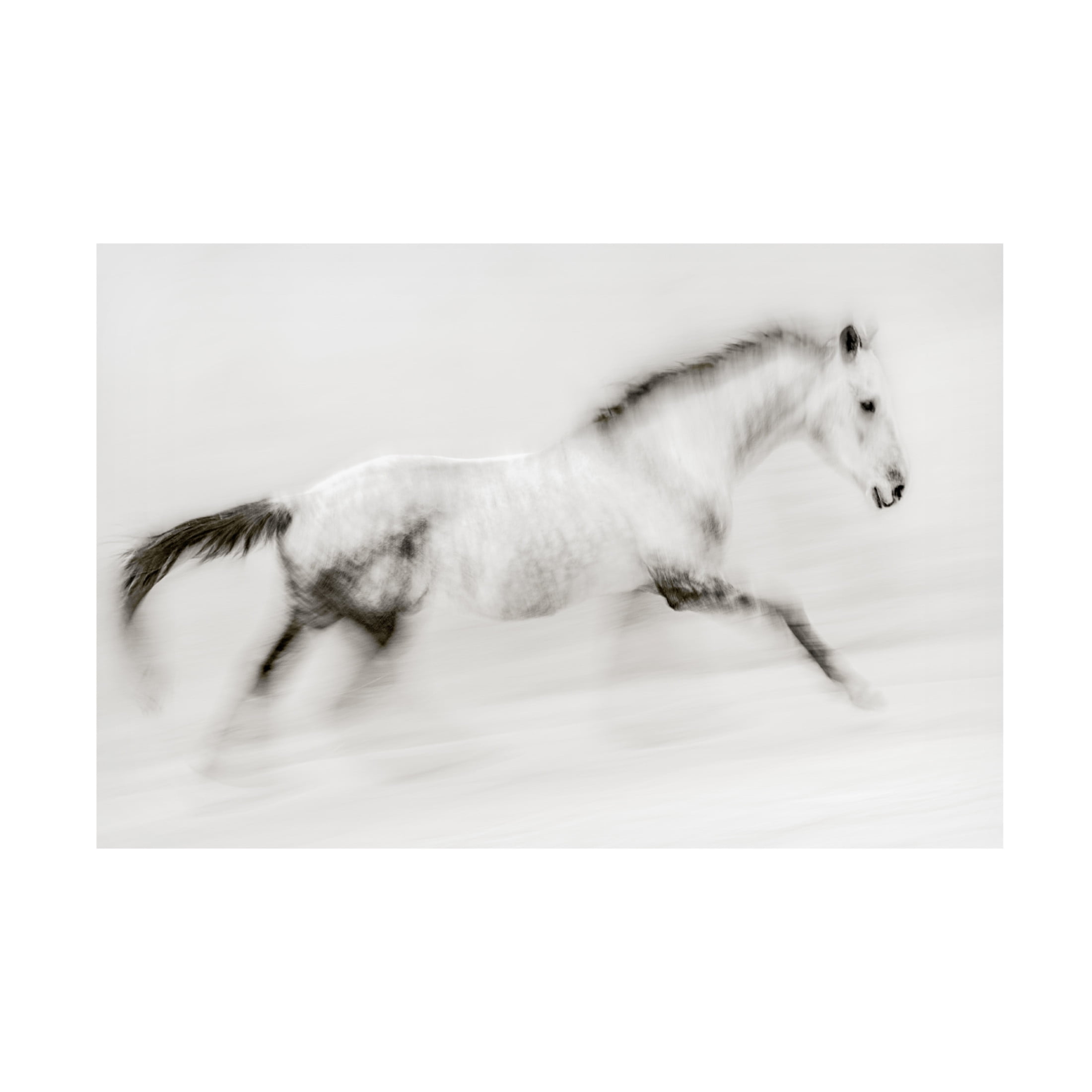 Canvas Wall Art - Martine Benezech 'The Unique Brush Stroke' Wall Art for Living Room, Bedroom, or Office D?cor by Trademark Fine Art - 47 x 30 Inches