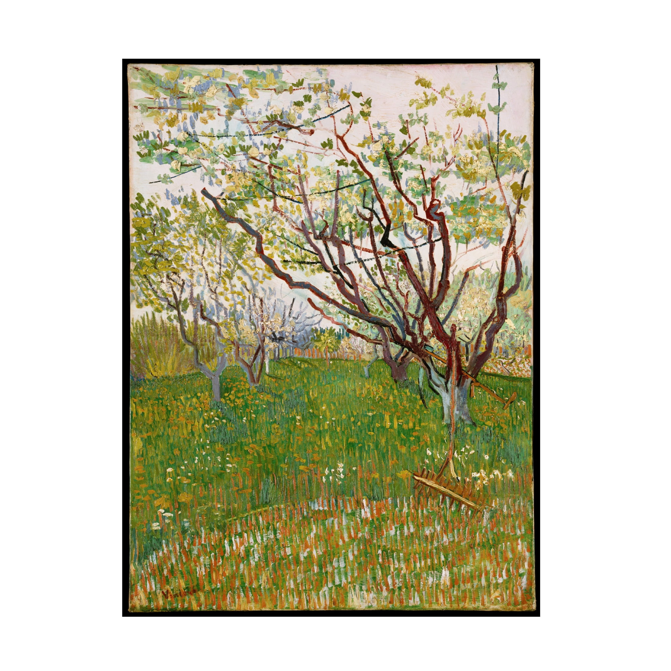 Canvas Wall Art - Masters Collection 'Cherry Tree Vincent Van Gogh' Wall Art for Living Room, Bedroom, or Office Décor by Trademark Fine Art - 24 x 32 Inches