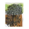 thumbnail image 1 of Canvas Wall Art - Medha Karandikar 'Spiritual Journal 12' Wall Art for Living Room, Bedroom, or Office Décor by Trademark Fine Art - 24 x 32 Inches, 1 of 4