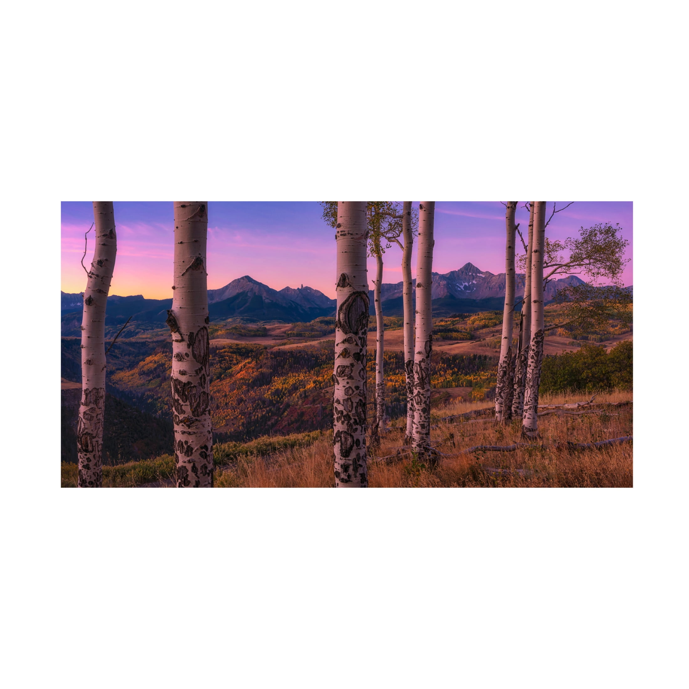 Canvas Wall Art - Mei Xu 'Aspen Frames' Wall Art for Living Room, Bedroom, or Office Décor by Trademark Fine Art - 19 x 10 Inches