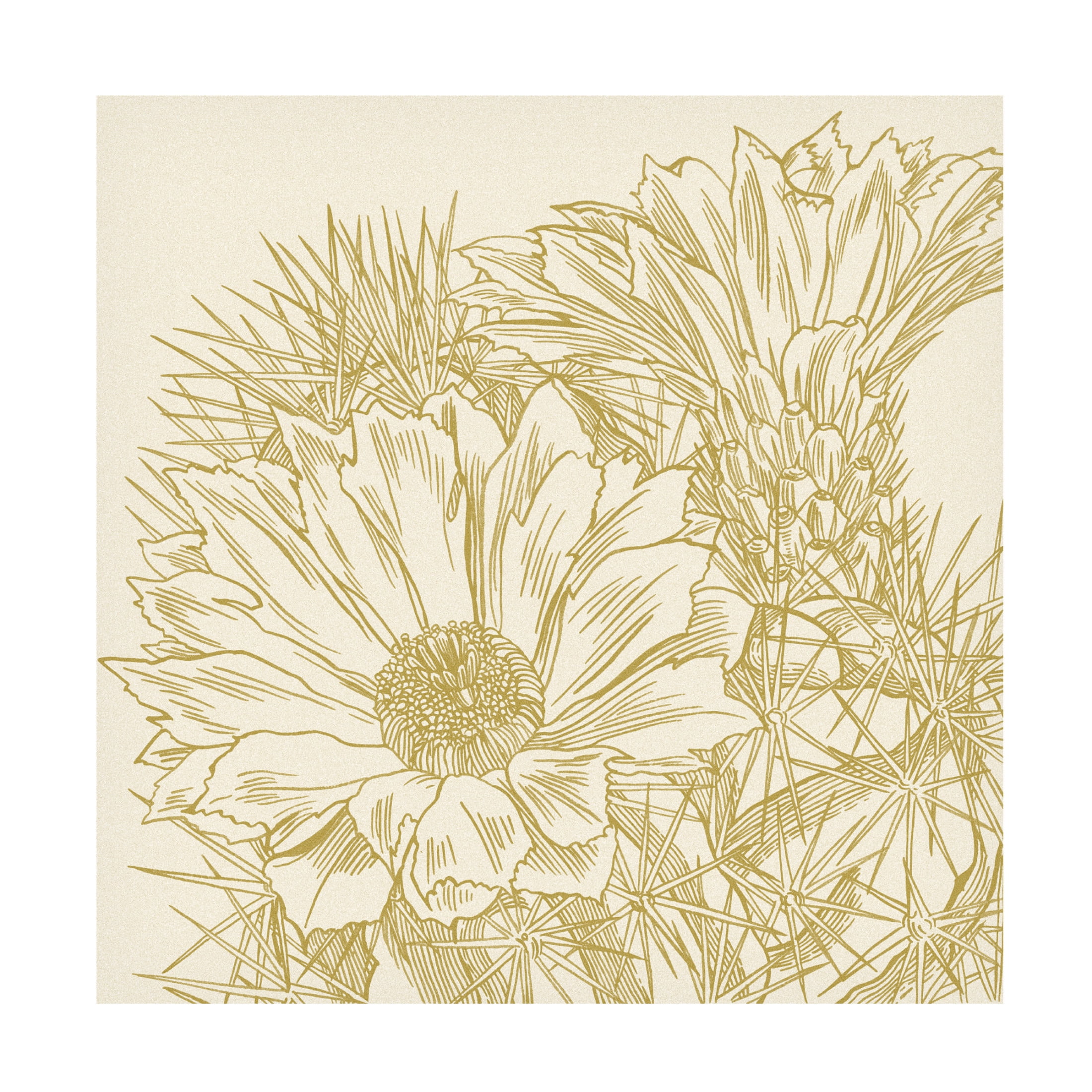 Canvas Wall Art - Melissa Wang 'Graphic Cactus Bloom I' Wall Art for Living Room, Bedroom, or Office Décor by Trademark Fine Art - 35 x 35 Inches