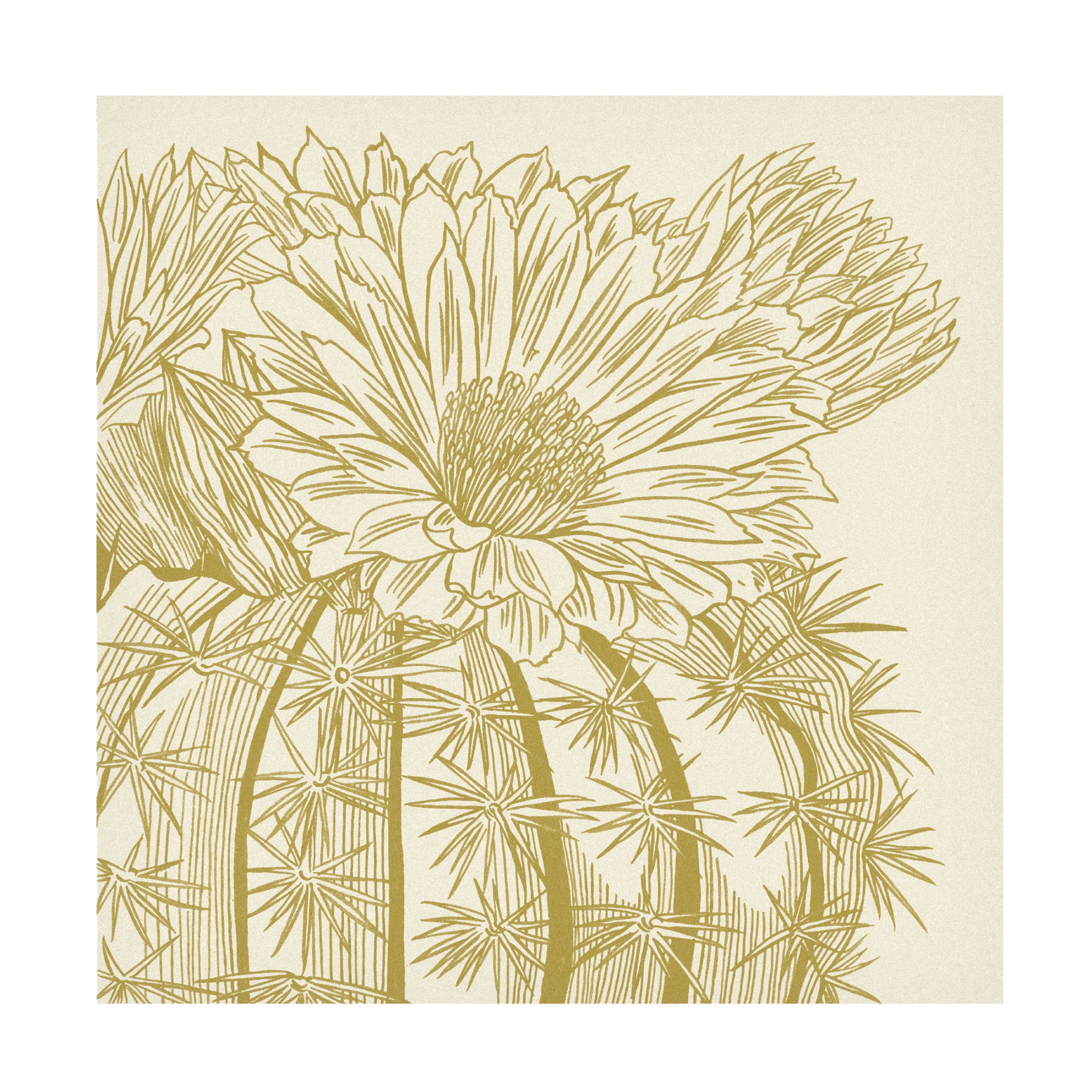 Canvas Wall Art - Melissa Wang 'Graphic Cactus Bloom II' Wall Art for Living Room, Bedroom, or Office Décor by Trademark Fine Art - 24 x 24 Inches