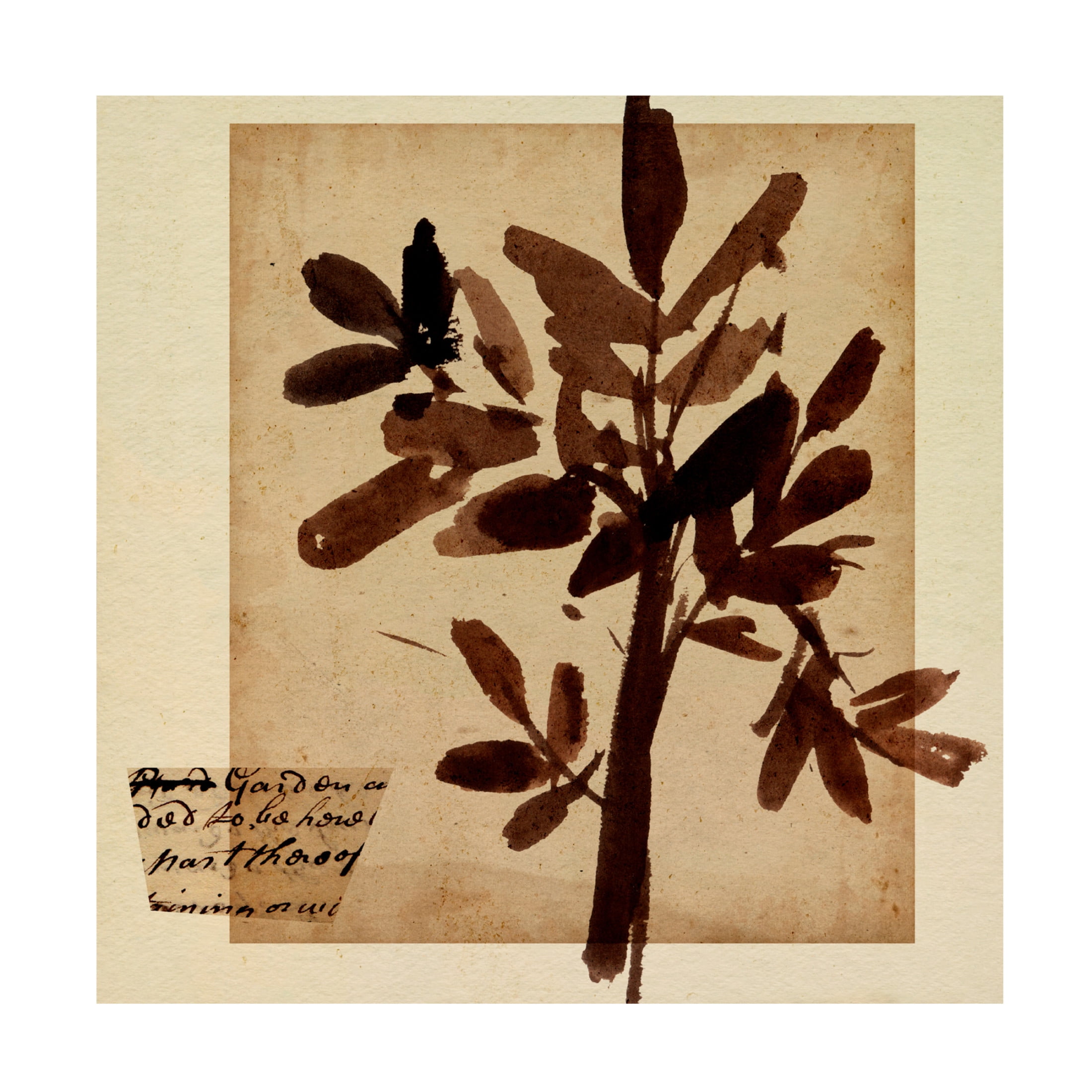 Canvas Wall Art - Melissa Wang 'Last Memory I' Wall Art for Living Room, Bedroom, or Office Décor by Trademark Fine Art - 18 x 18 Inches