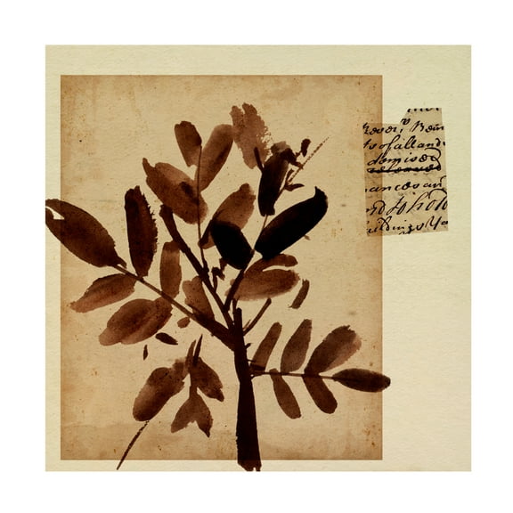 Canvas Wall Art - Melissa Wang 'Last Memory II' Wall Art for Living Room, Bedroom, or Office Décor by Trademark Fine Art - 14 x 14 Inches