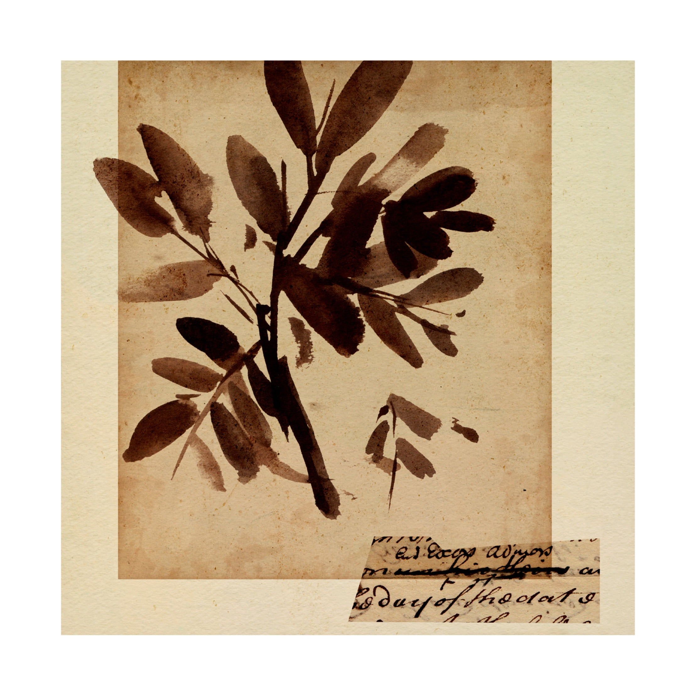 Canvas Wall Art - Melissa Wang 'Last Memory III' Wall Art for Living Room, Bedroom, or Office Décor by Trademark Fine Art - 35 x 35 Inches