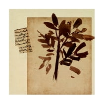 Canvas Wall Art - Melissa Wang 'Last Memory IV' Wall Art for Living Room, Bedroom, or Office Décor by Trademark Fine Art - 14 x 14 Inches