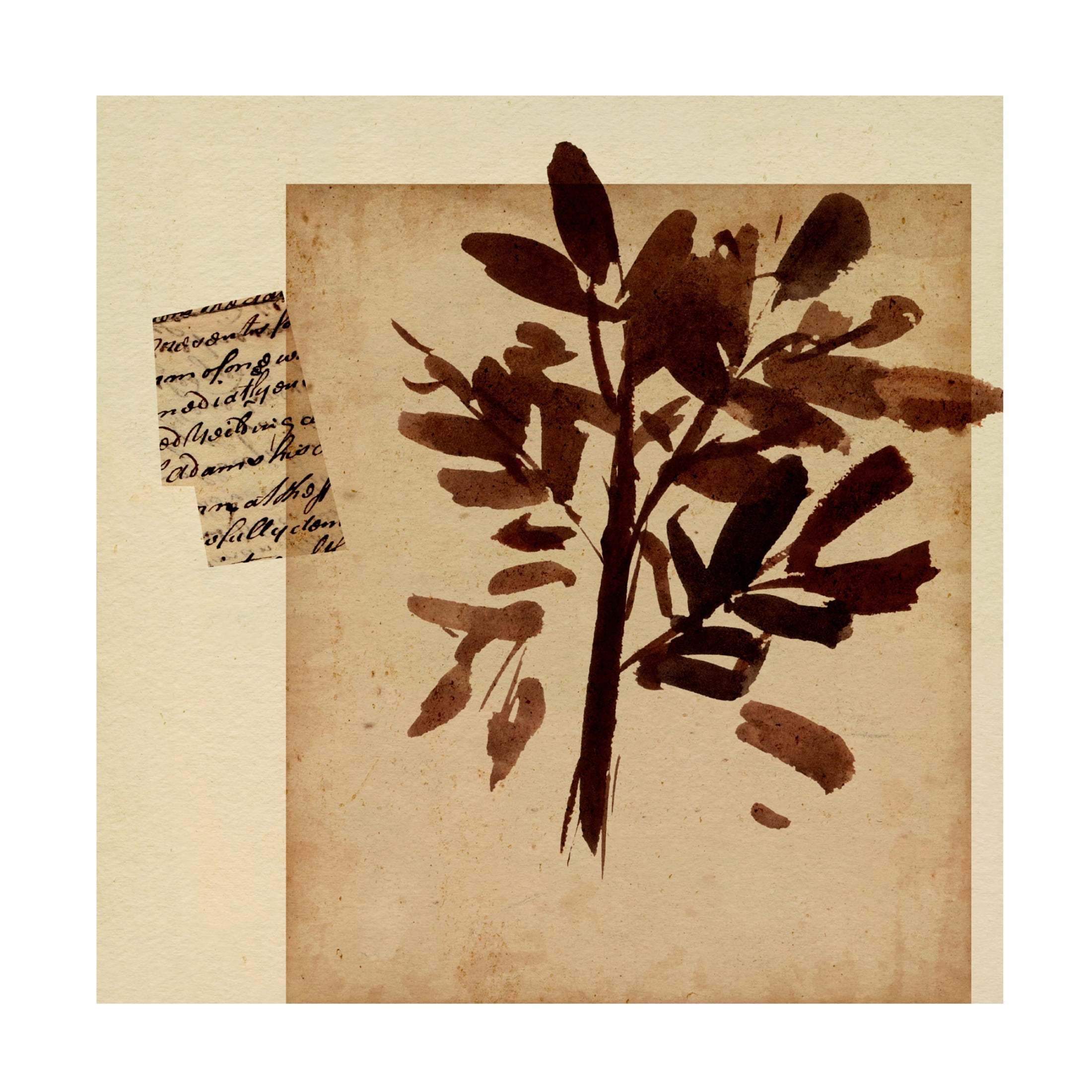 Canvas Wall Art - Melissa Wang 'Last Memory IV' Wall Art for Living Room, Bedroom, or Office Décor by Trademark Fine Art - 35 x 35 Inches