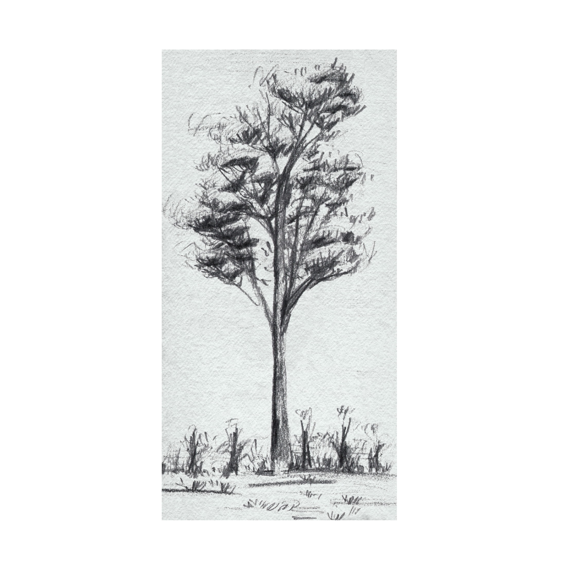 Canvas Wall Art - Melissa Wang 'Tree in the Woods III' Wall Art for Living Room, Bedroom, or Office Décor by Trademark Fine Art - 12 x 24 Inches