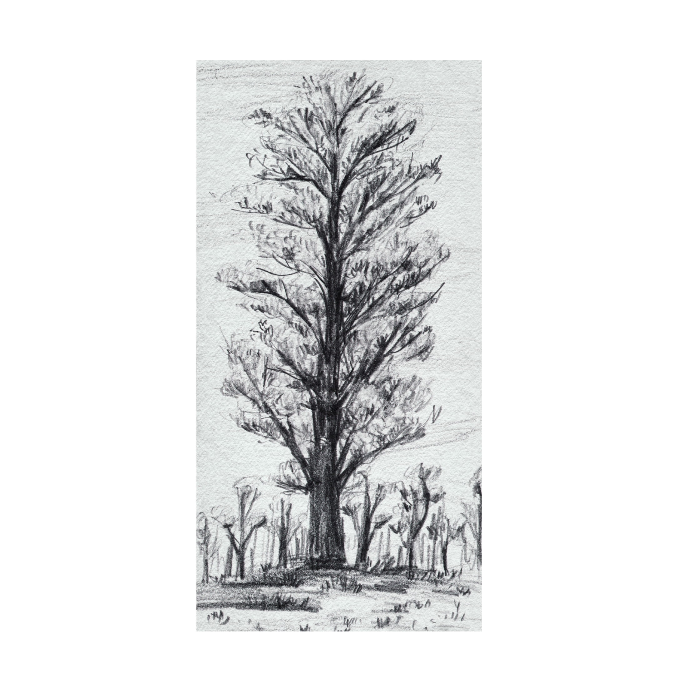 Canvas Wall Art - Melissa Wang 'Tree in the Woods IV' Wall Art for Living Room, Bedroom, or Office Décor by Trademark Fine Art - 16 x 32 Inches