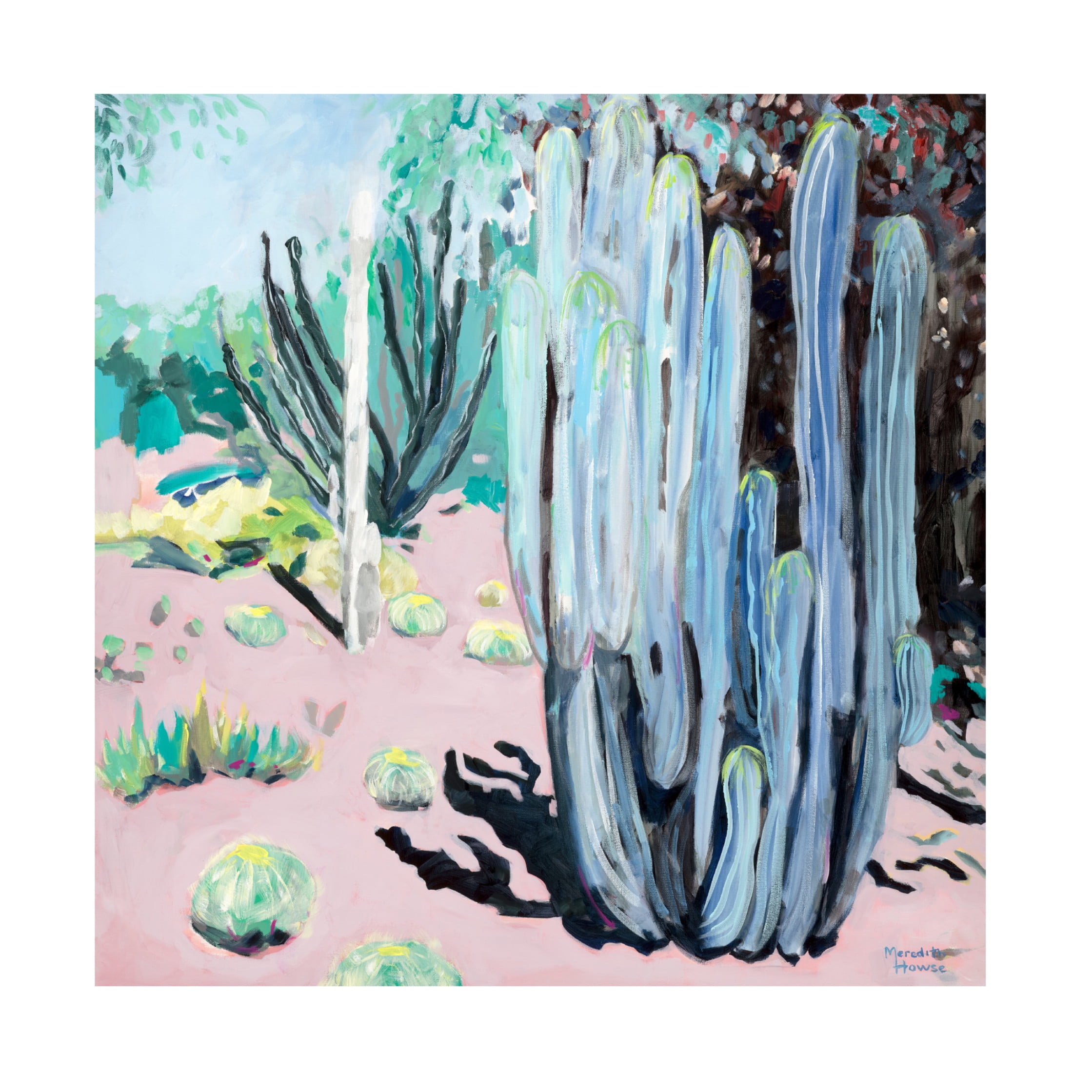 Canvas Wall Art - Meredith Howse 'Succulent Society' Wall Art for Living Room, Bedroom, or Office Décor by Trademark Fine Art - 18 x 18 Inches