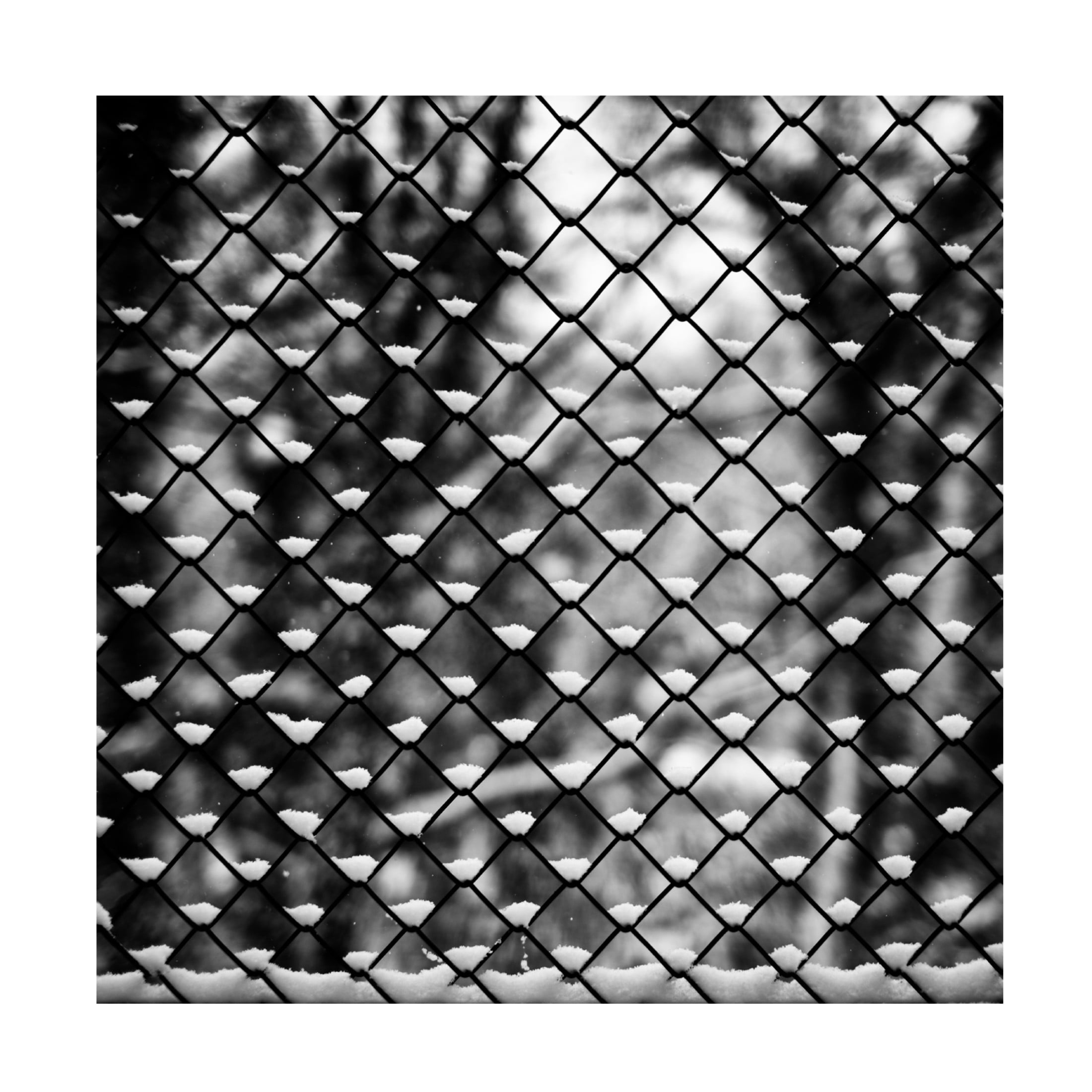 Canvas Wall Art - Michael C Neale '1Xsnow' Wall Art for Living Room, Bedroom, or Office Décor by Trademark Fine Art - 24 x 24 Inches