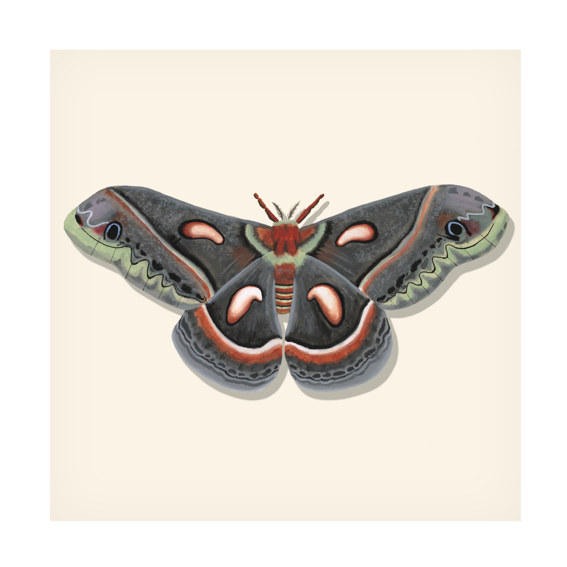 Canvas Wall Art - Michael Willett 'Watercolor Moths III' Wall Art for Living Room, Bedroom, or Office Décor by Trademark Fine Art - 35 x 35 Inches