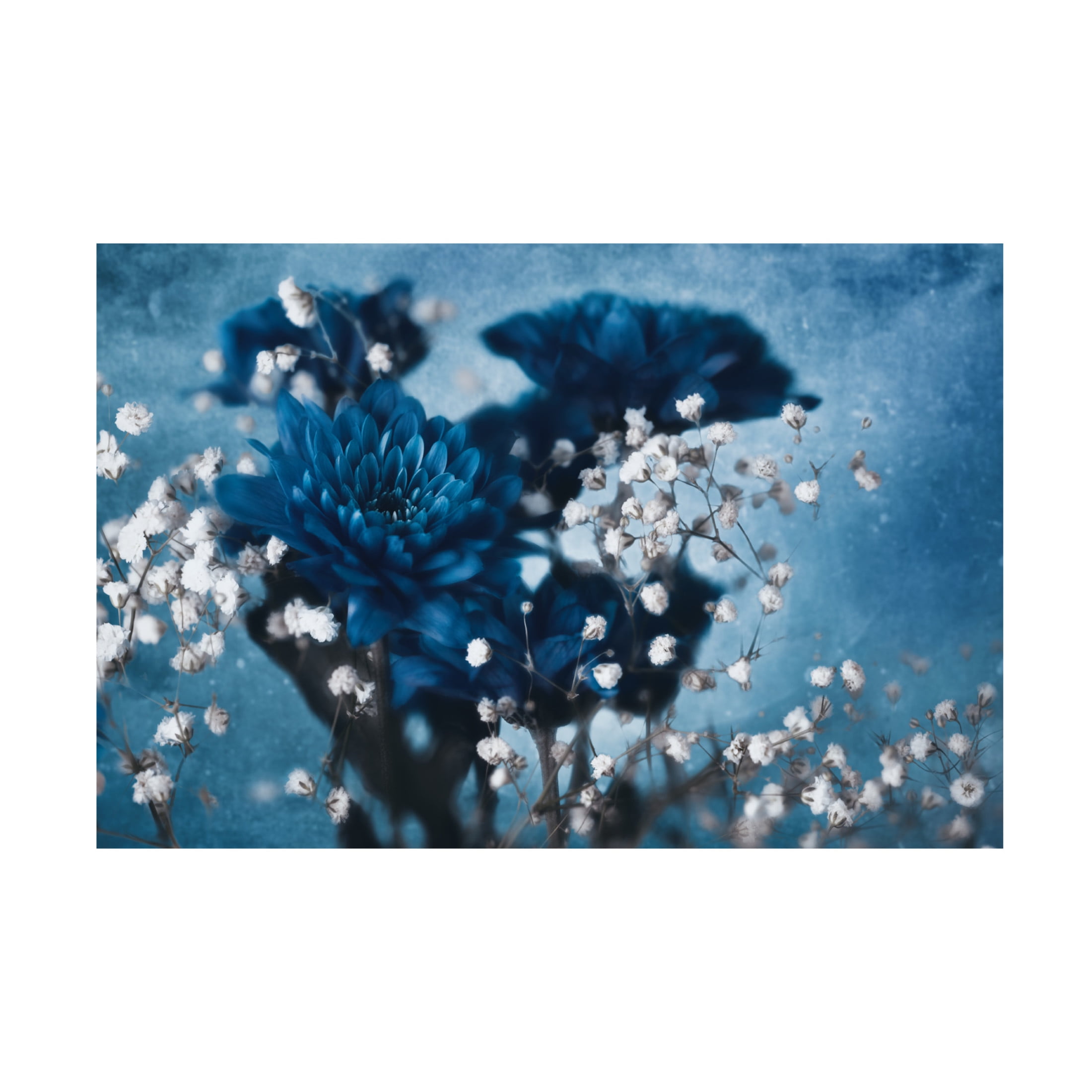 Canvas Wall Art - Mike Kreiten 'Dahlia' Wall Art for Living Room, Bedroom, or Office Décor by Trademark Fine Art - 32 x 22 Inches