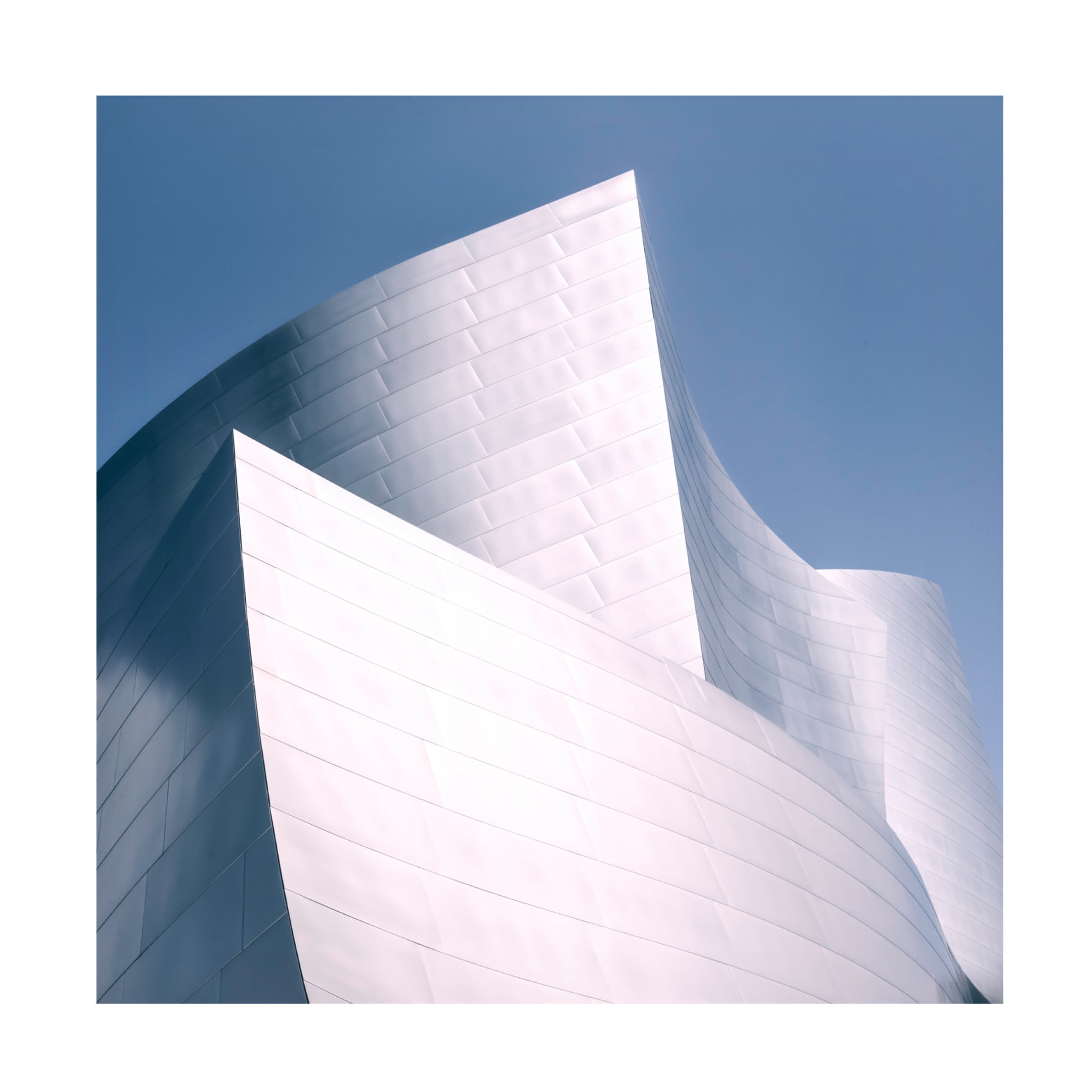 Canvas Wall Art - Mike Kreiten 'Pointing' Wall Art for Living Room, Bedroom, or Office D?cor by Trademark Fine Art - 24 x 24 Inches