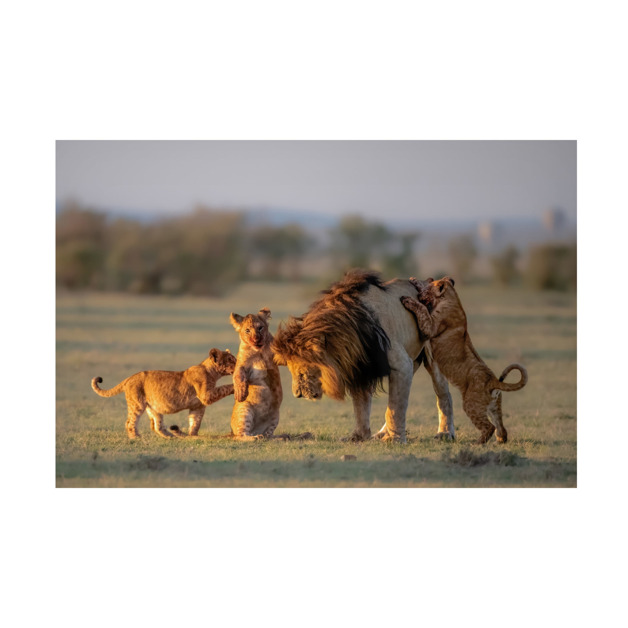 Canvas Wall Art - Min Li 'Dad And Kids' Wall Art for Living Room, Bedroom, or Office Décor by Trademark Fine Art - 32 x 22 Inches