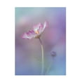thumbnail image 1 of Canvas Wall Art - Miyako Koumura 'Pink Elegance' Wall Art for Living Room, Bedroom, or Office D?cor by Trademark Fine Art - 35 x 47 Inches, 1 of 4