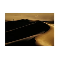 Canvas Wall Art - Mohammad Fotouhi 'Desert One' Wall Art for Living Room, Bedroom, or Office Décor by Trademark Fine Art - 19 x 12 Inches