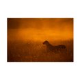 thumbnail image 1 of Canvas Wall Art - Mohammed Alnaser 'Gold Dust' Wall Art for Living Room, Bedroom, or Office D?cor by Trademark Fine Art - 19 x 12 Inches, 1 of 4