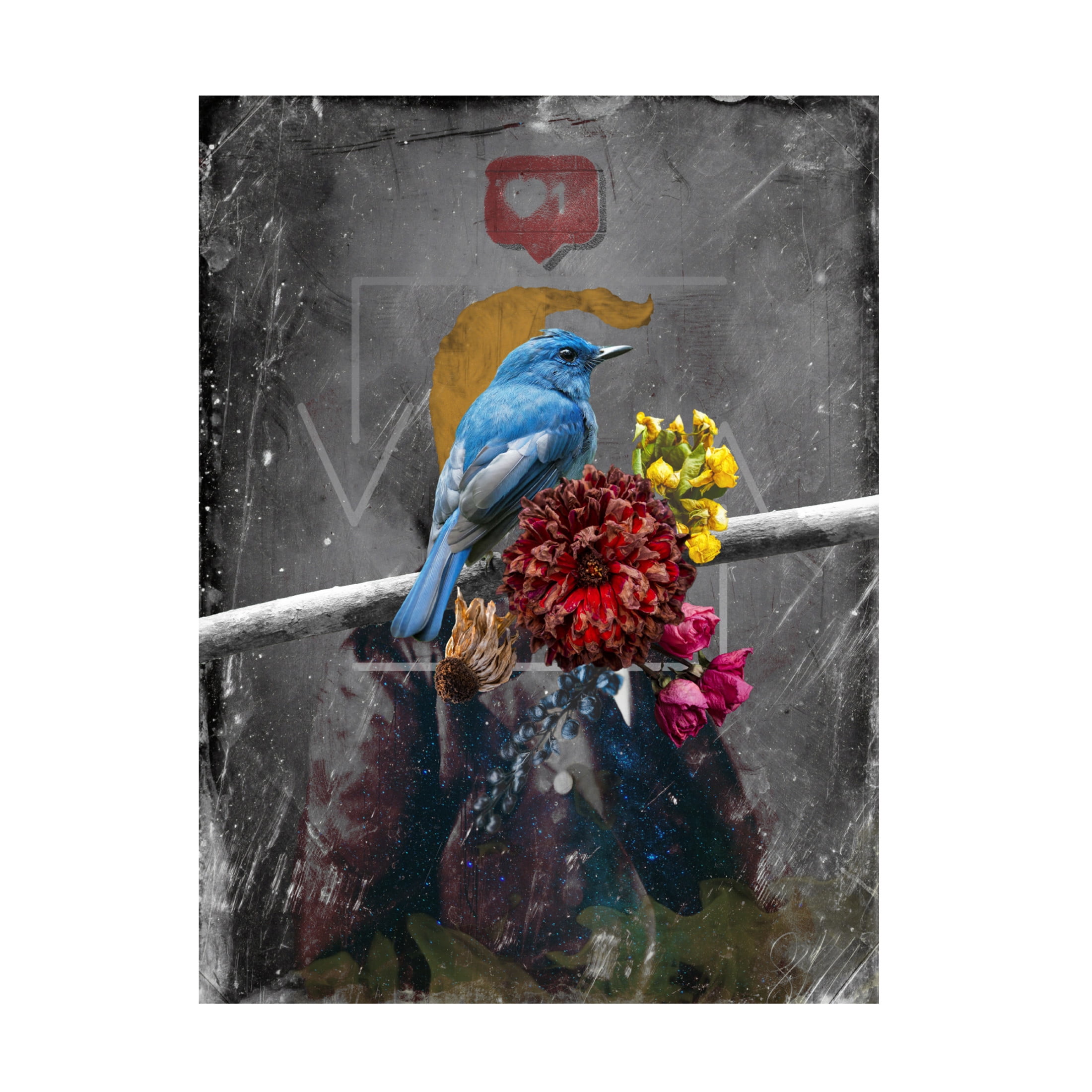 Canvas Wall Art - NUMA Art 'TOTUS' Wall Art for Living Room, Bedroom, or Office Décor by Trademark Fine Art - 35 x 47 Inches