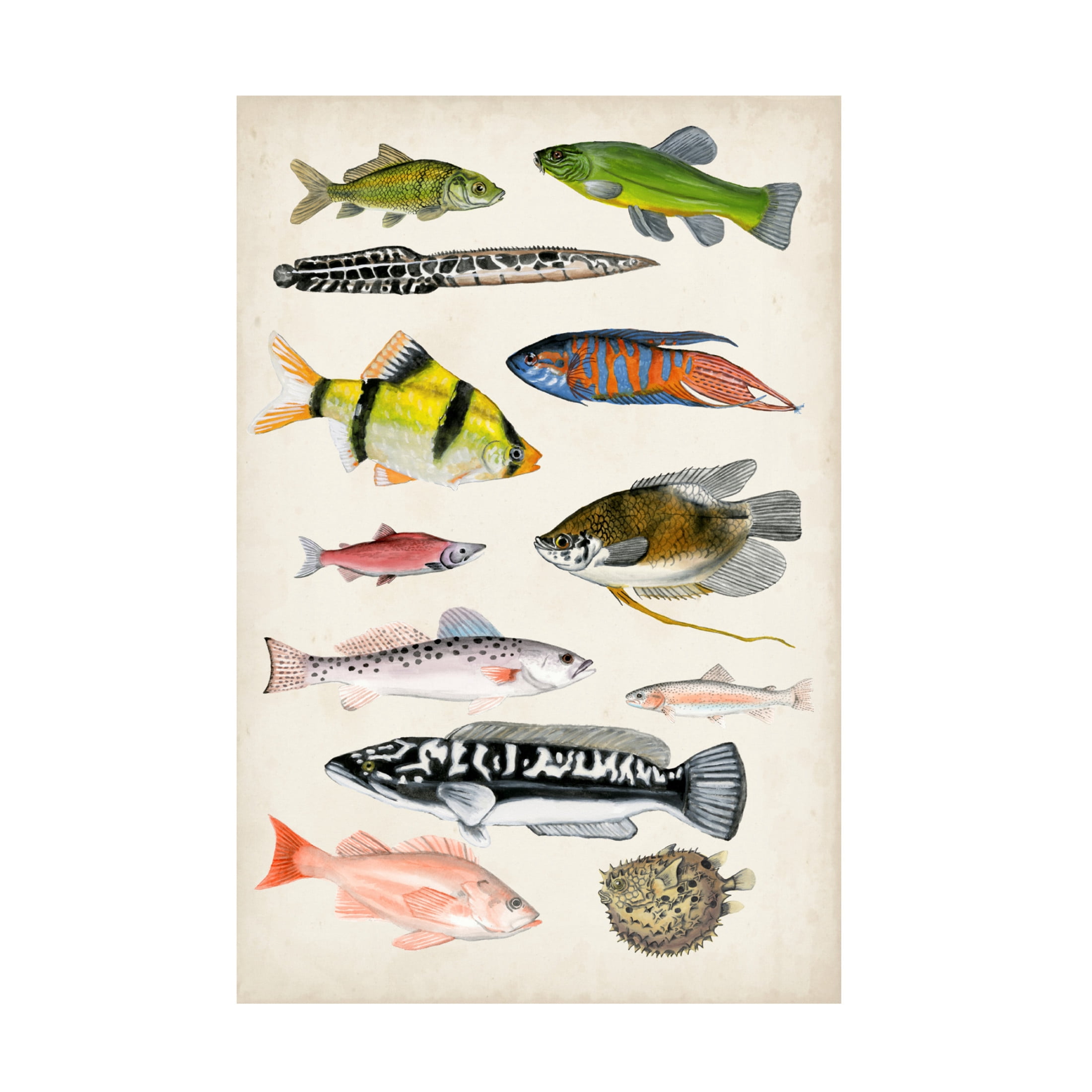 Canvas Wall Art - Naomi McCavitt 'Antique Aquarium I' Wall Art for Living Room, Bedroom, or Office Décor by Trademark Fine Art - 30 x 47 Inches