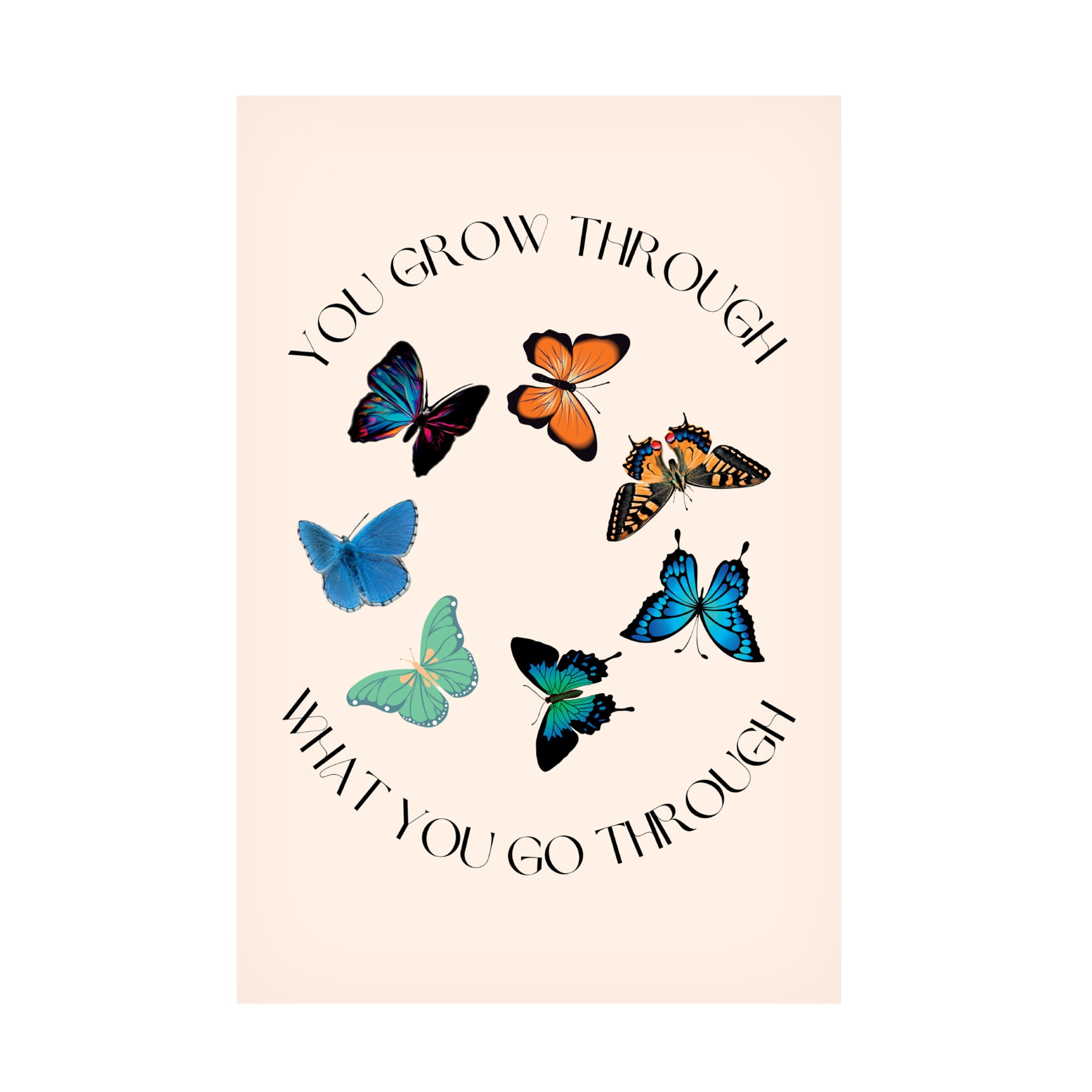 Canvas Wall Art - Nazma Khokhar 'Butterfly Print' Wall Art for Living Room, Bedroom, or Office Décor by Trademark Fine Art - 16 x 24 Inches