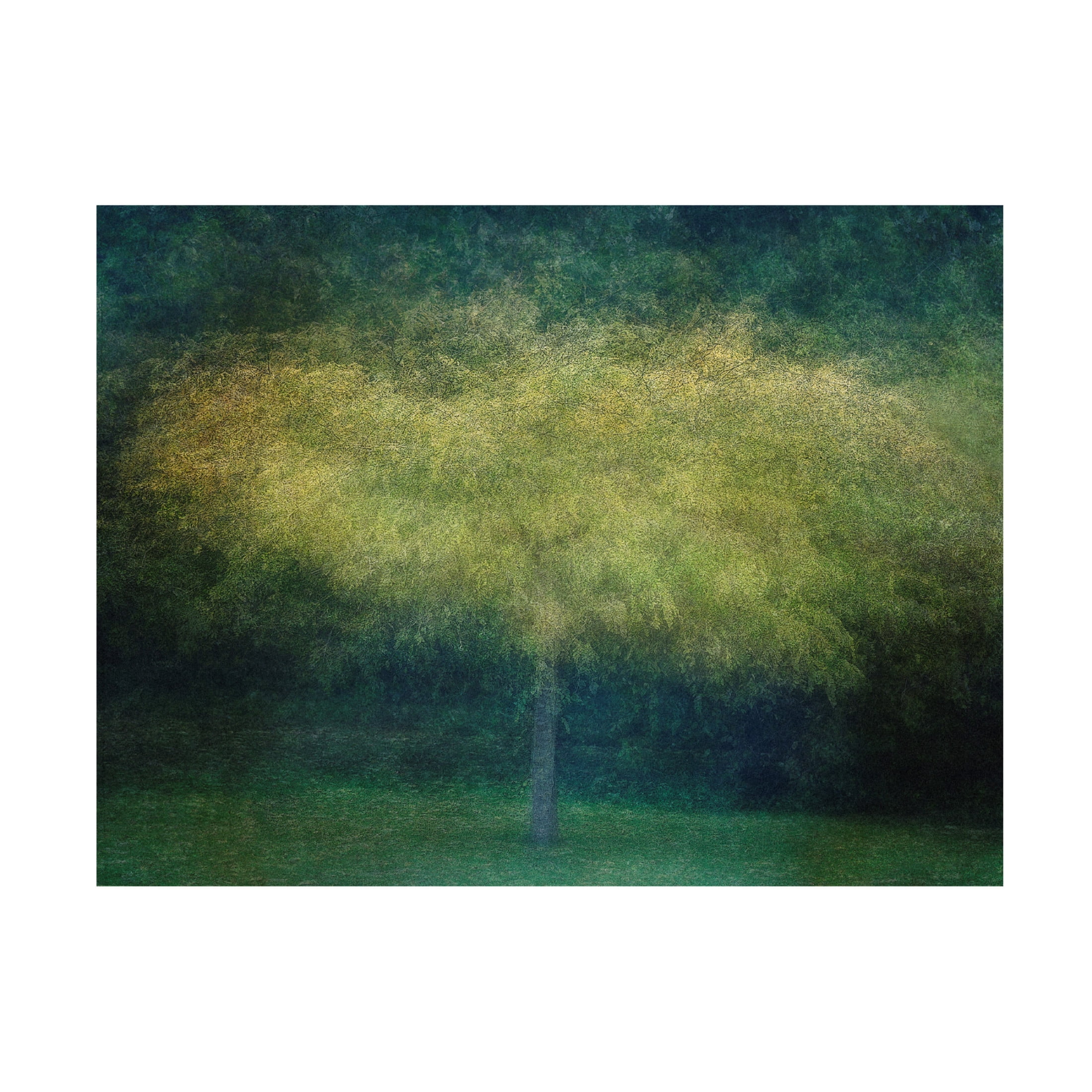 Canvas Wall Art - Nel Talen 'A Tree' Wall Art for Living Room, Bedroom, or Office Décor by Trademark Fine Art - 24 x 18 Inches