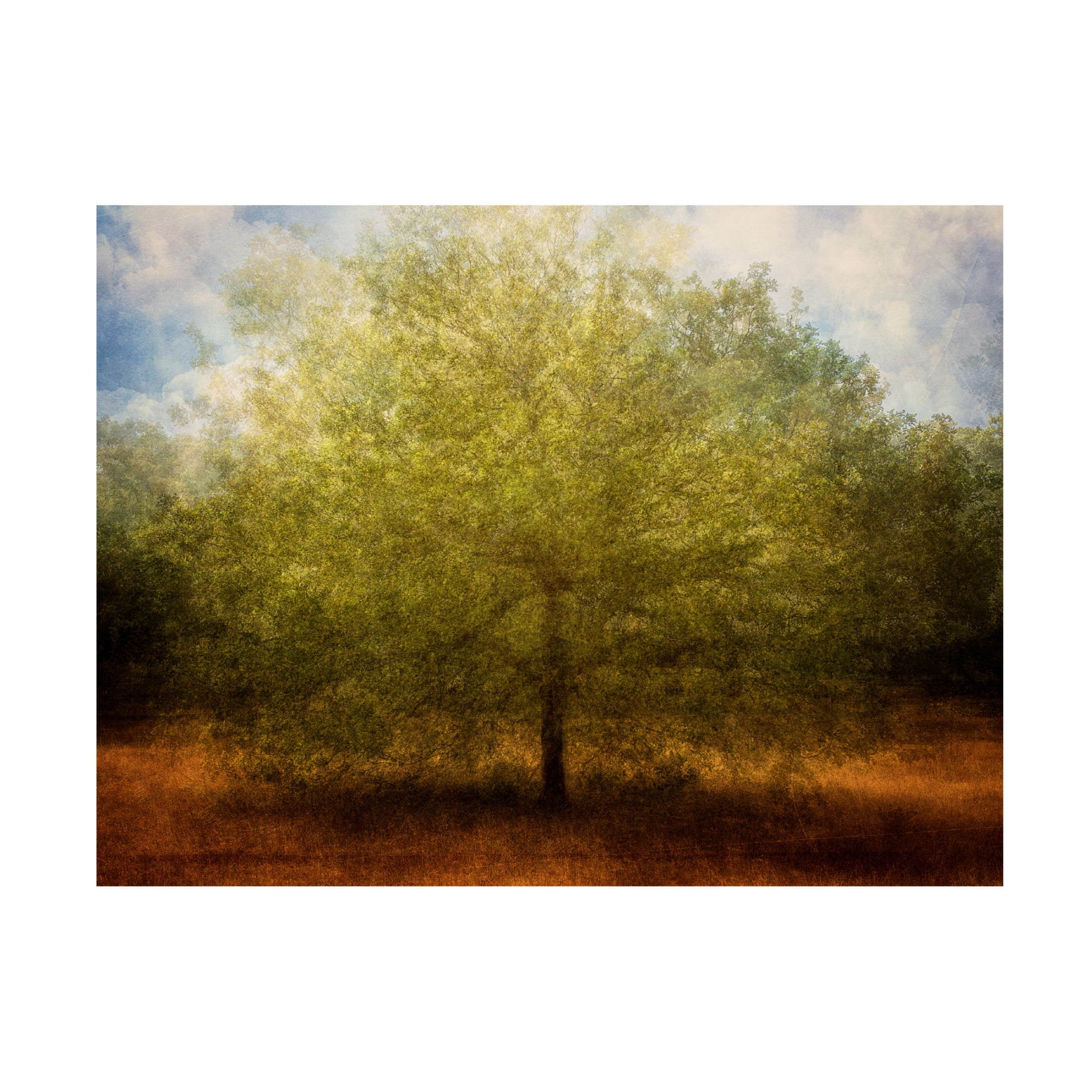 Canvas Wall Art - Nel Talen 'Embrace Me' Wall Art for Living Room, Bedroom, or Office Décor by Trademark Fine Art - 19 x 14 Inches