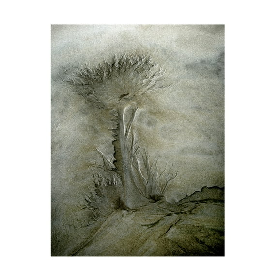 Canvas Wall Art - Nel Talen 'Flow Pattern' Wall Art for Living Room, Bedroom, or Office D?cor by Trademark Fine Art - 14 x 19 Inches