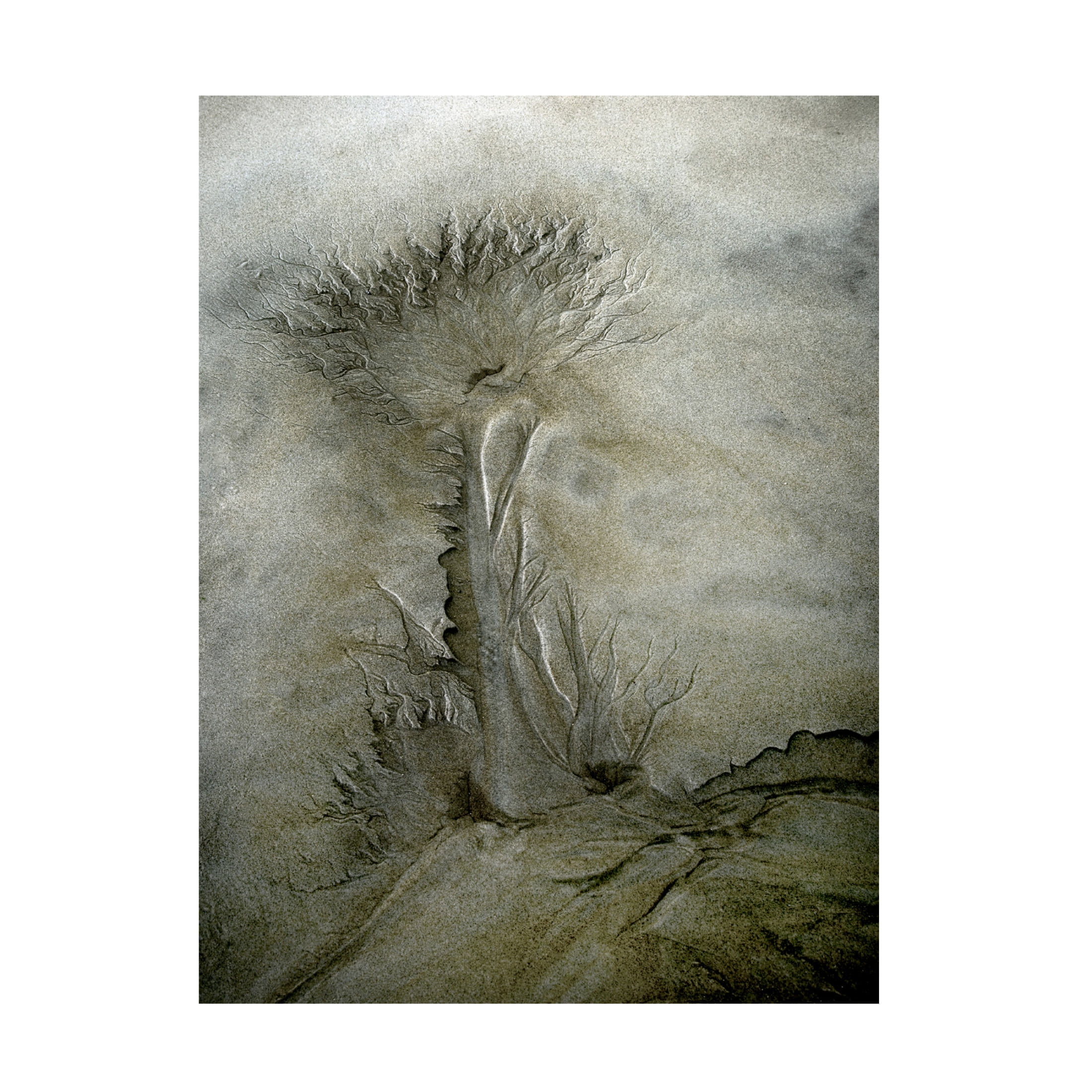 Canvas Wall Art - Nel Talen 'Flow Pattern' Wall Art for Living Room, Bedroom, or Office D?cor by Trademark Fine Art - 24 x 32 Inches