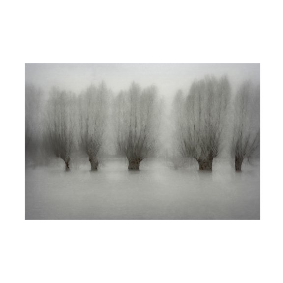 Canvas Wall Art - Nel Talen 'High Water' Wall Art for Living Room, Bedroom, or Office Décor by Trademark Fine Art - 19 x 12 Inches