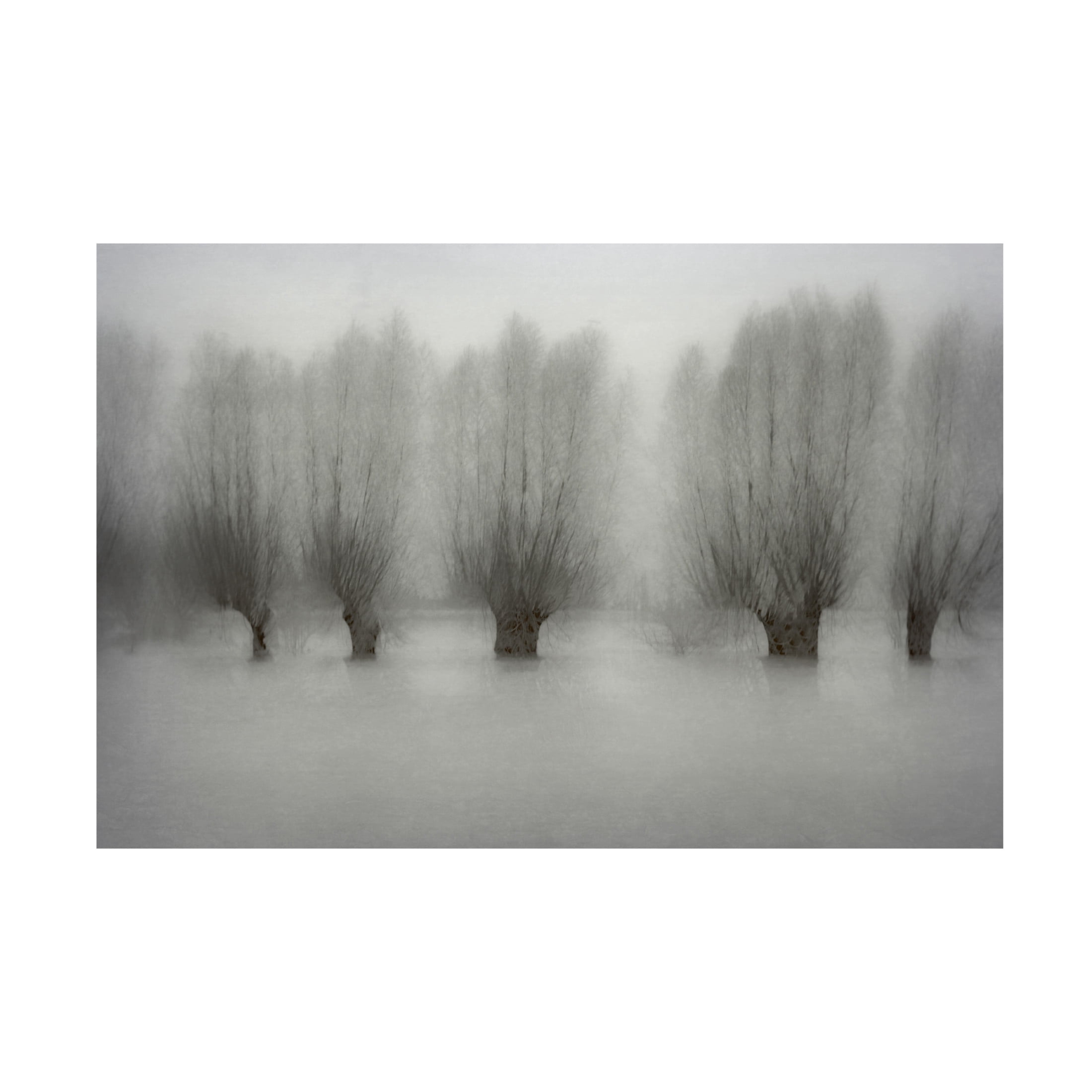 Canvas Wall Art - Nel Talen 'High Water' Wall Art for Living Room, Bedroom, or Office Décor by Trademark Fine Art - 47 x 30 Inches