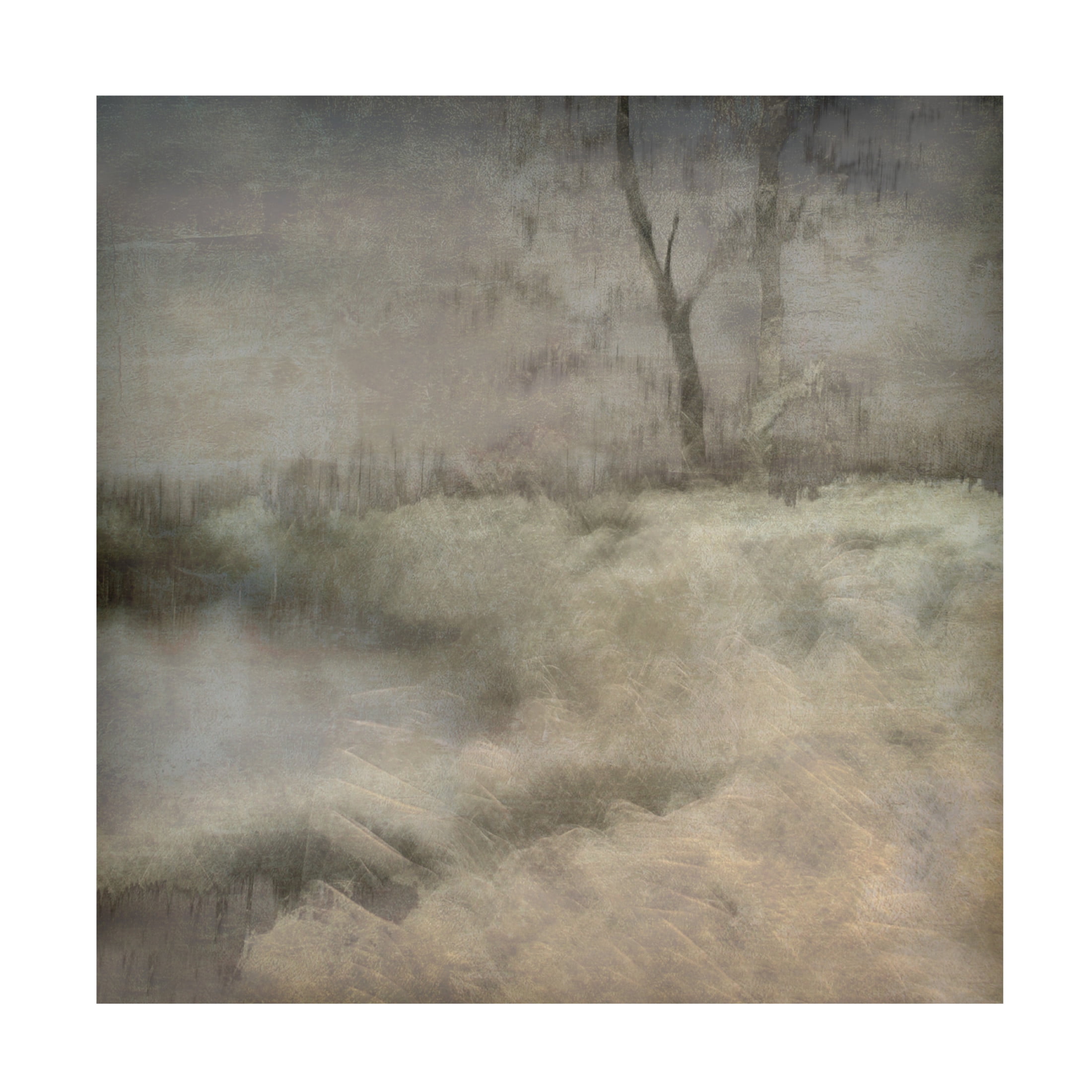 Canvas Wall Art - Nel Talen 'Little Ven' Wall Art for Living Room, Bedroom, or Office Décor by Trademark Fine Art - 35 x 35 Inches