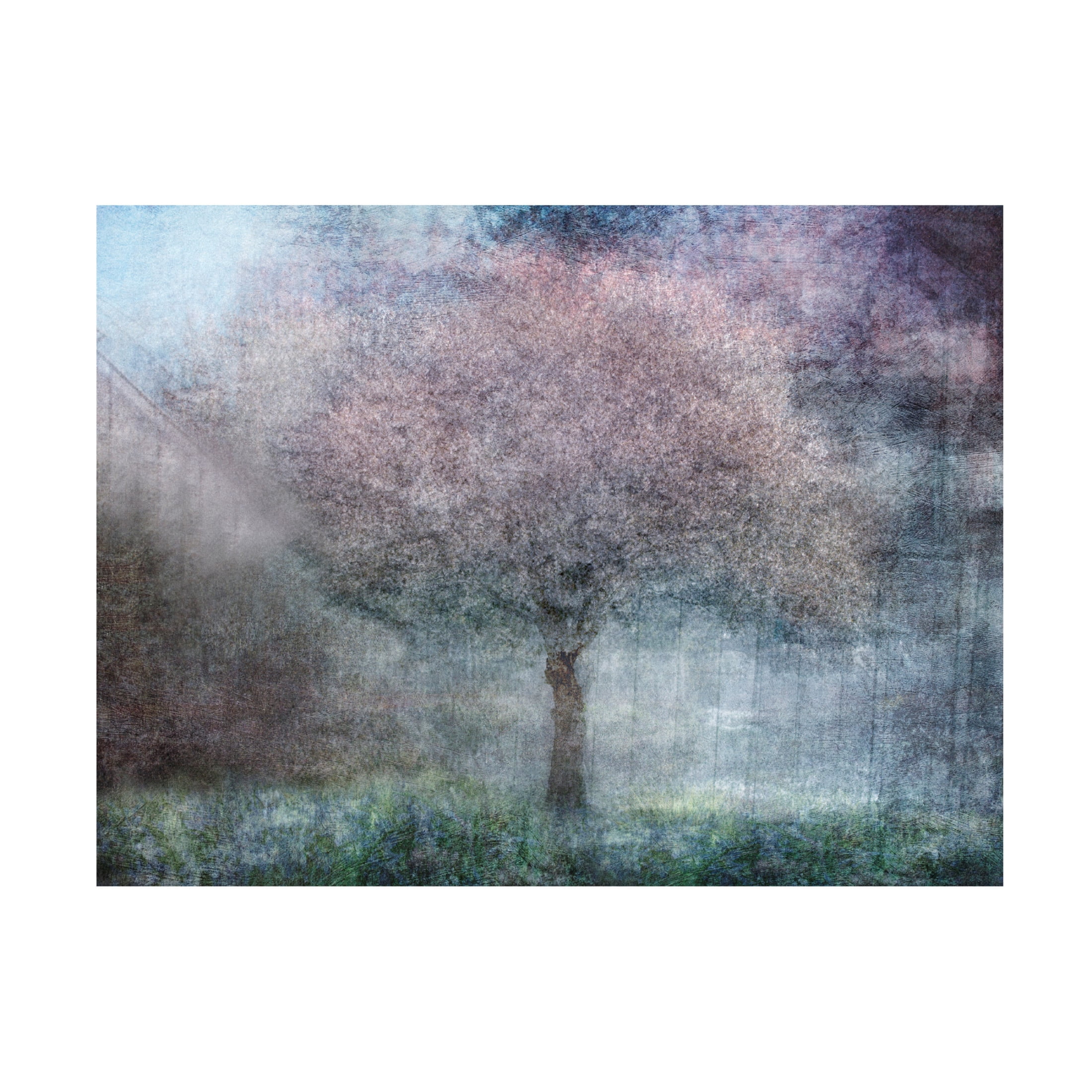 Canvas Wall Art - Nel Talen 'Magic Of Spring' Wall Art for Living Room, Bedroom, or Office Décor by Trademark Fine Art - 24 x 18 Inches