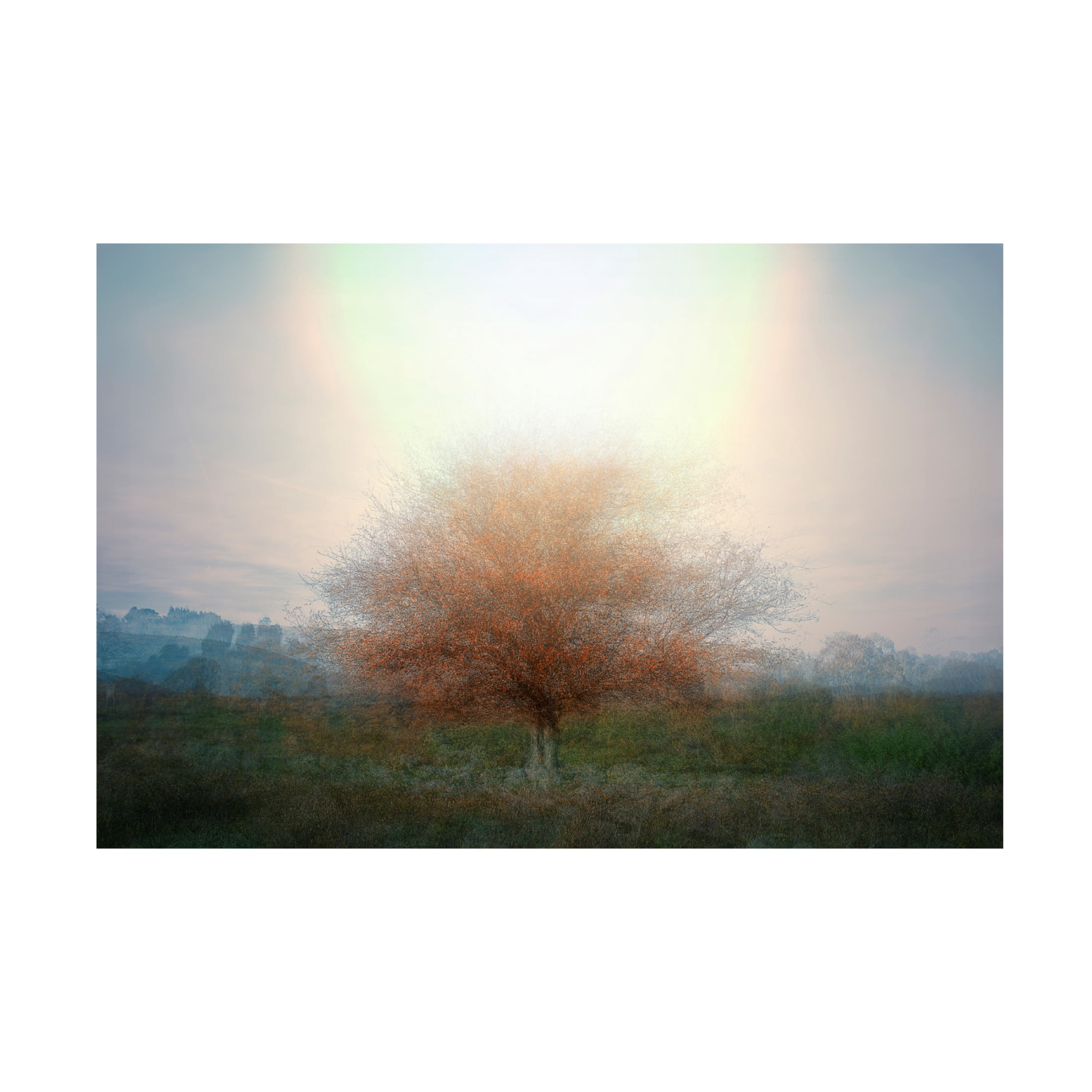Canvas Wall Art - Nel Talen 'Mirage' Wall Art for Living Room, Bedroom, or Office Décor by Trademark Fine Art - 19 x 12 Inches