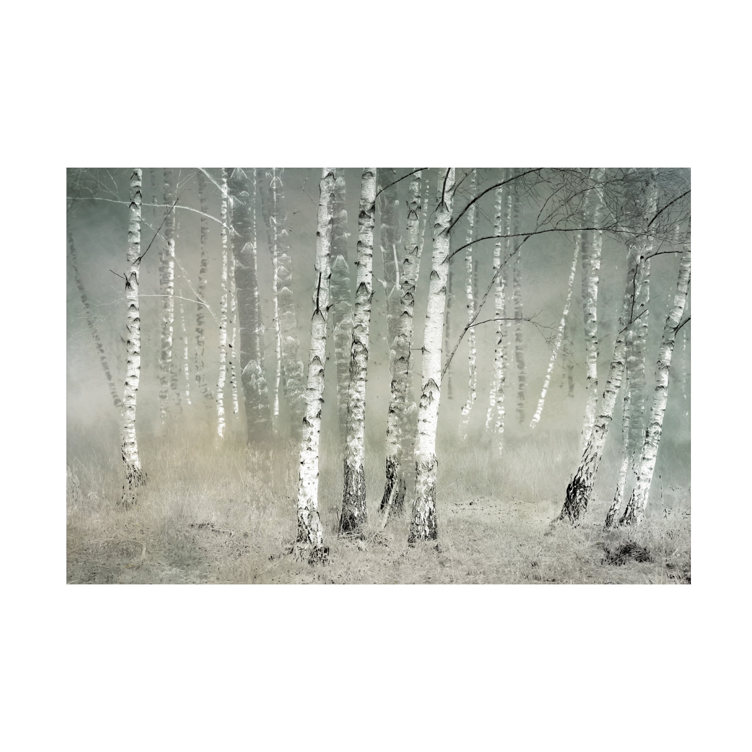 Canvas Wall Art - Nel Talen 'Morning Silence' Wall Art for Living Room, Bedroom, or Office DÃ©cor by Trademark Fine Art - 19 x 12 Inches