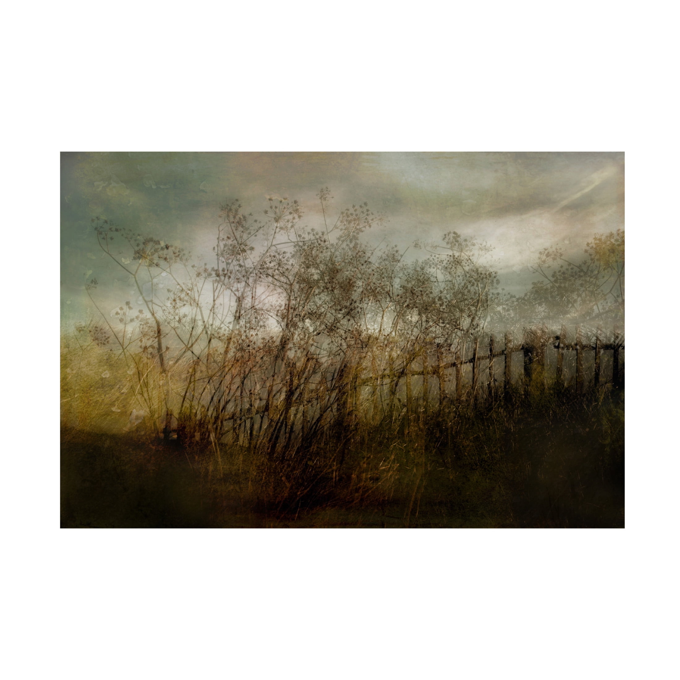 Canvas Wall Art - Nel Talen 'Old Dream' Wall Art for Living Room, Bedroom, or Office D?cor by Trademark Fine Art - 47 x 30 Inches