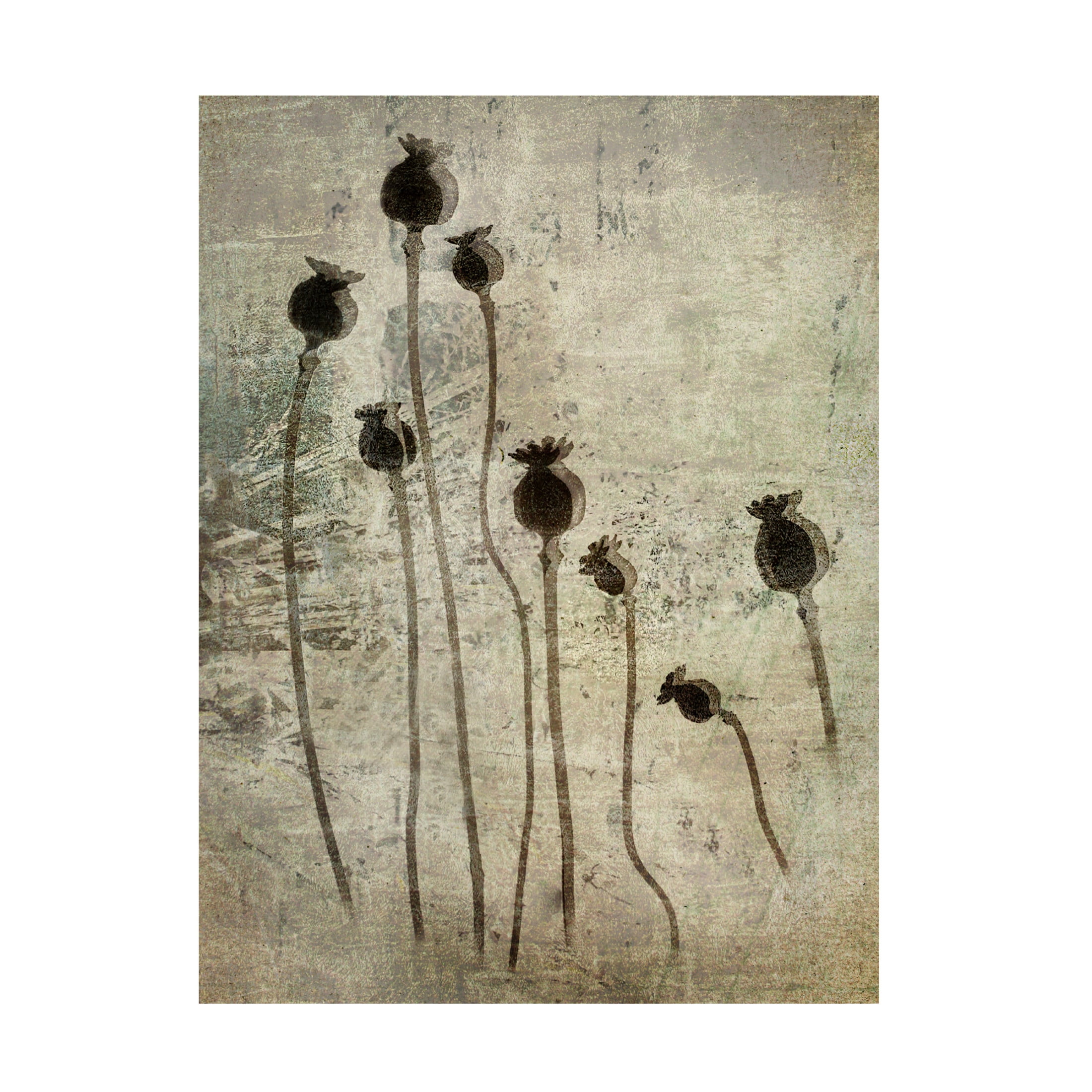 Canvas Wall Art - Nel Talen 'Poppy Seedlings' Wall Art for Living Room, Bedroom, or Office D?cor by Trademark Fine Art - 14 x 19 Inches