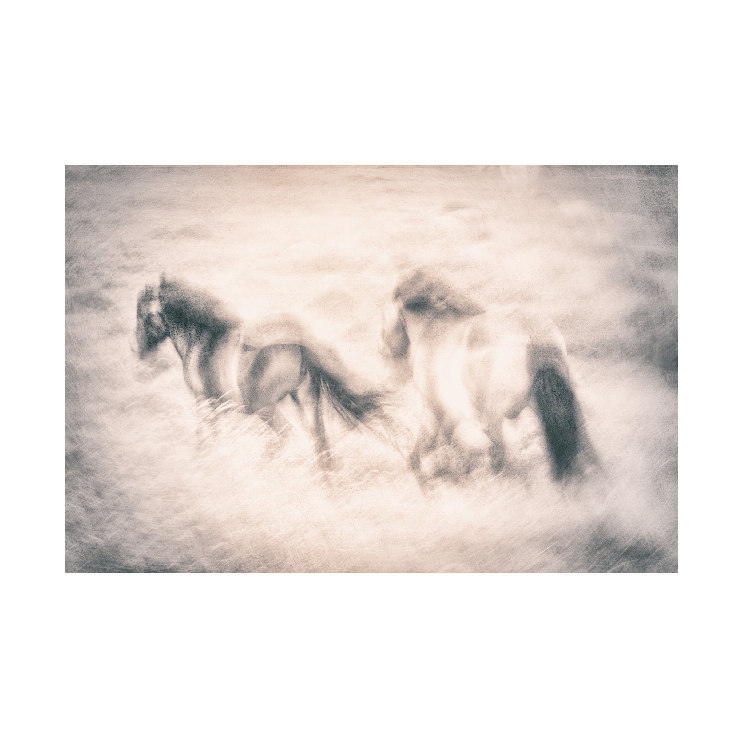 Canvas Wall Art - Nel Talen 'Running Free' Wall Art for Living Room, Bedroom, or Office DÃ©cor by Trademark Fine Art - 47 x 30 Inches