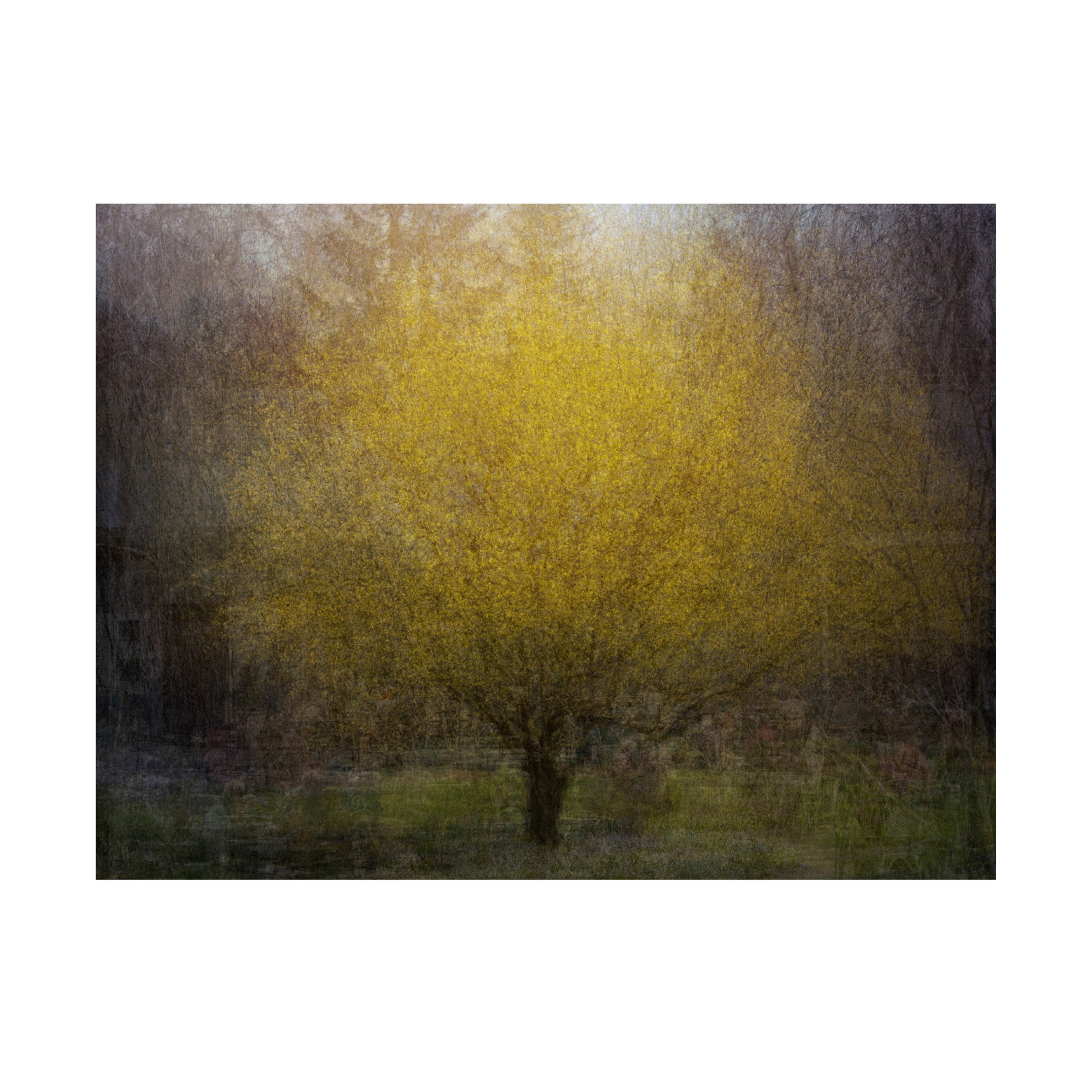 Canvas Wall Art - Nel Talen 'Town Square' Wall Art for Living Room, Bedroom, or Office Décor by Trademark Fine Art - 24 x 18 Inches