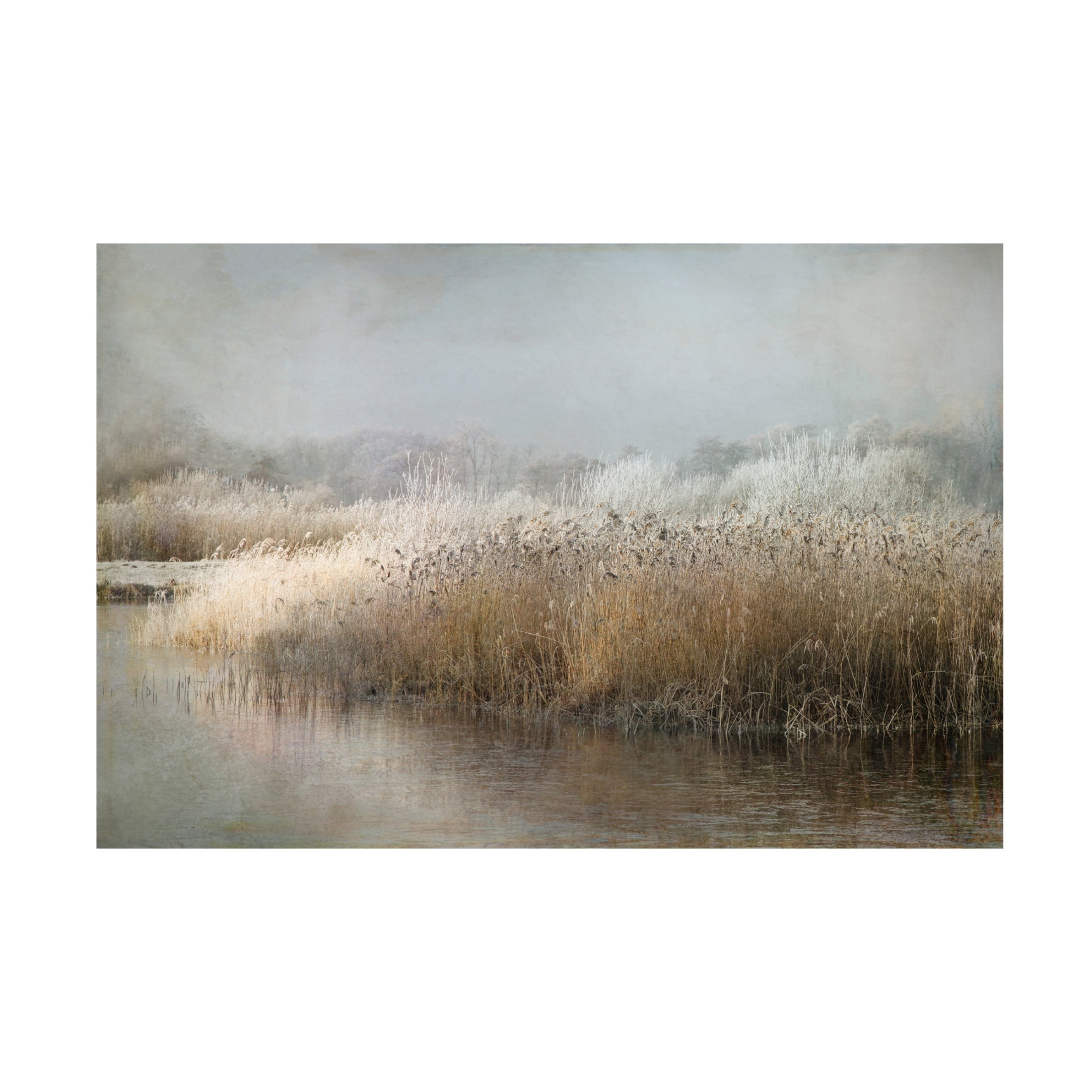 Canvas Wall Art - Nel Talen 'Wintermorning' Wall Art for Living Room, Bedroom, or Office D?cor by Trademark Fine Art - 32 x 22 Inches