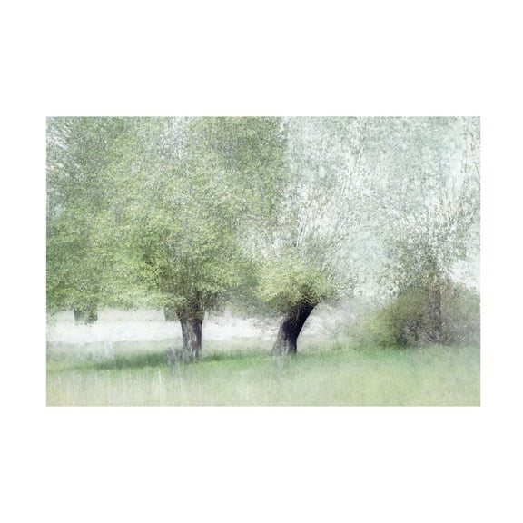 Canvas Wall Art - Nel Talen 'Young Green' Wall Art for Living Room, Bedroom, or Office D?cor by Trademark Fine Art - 19 x 12 Inches