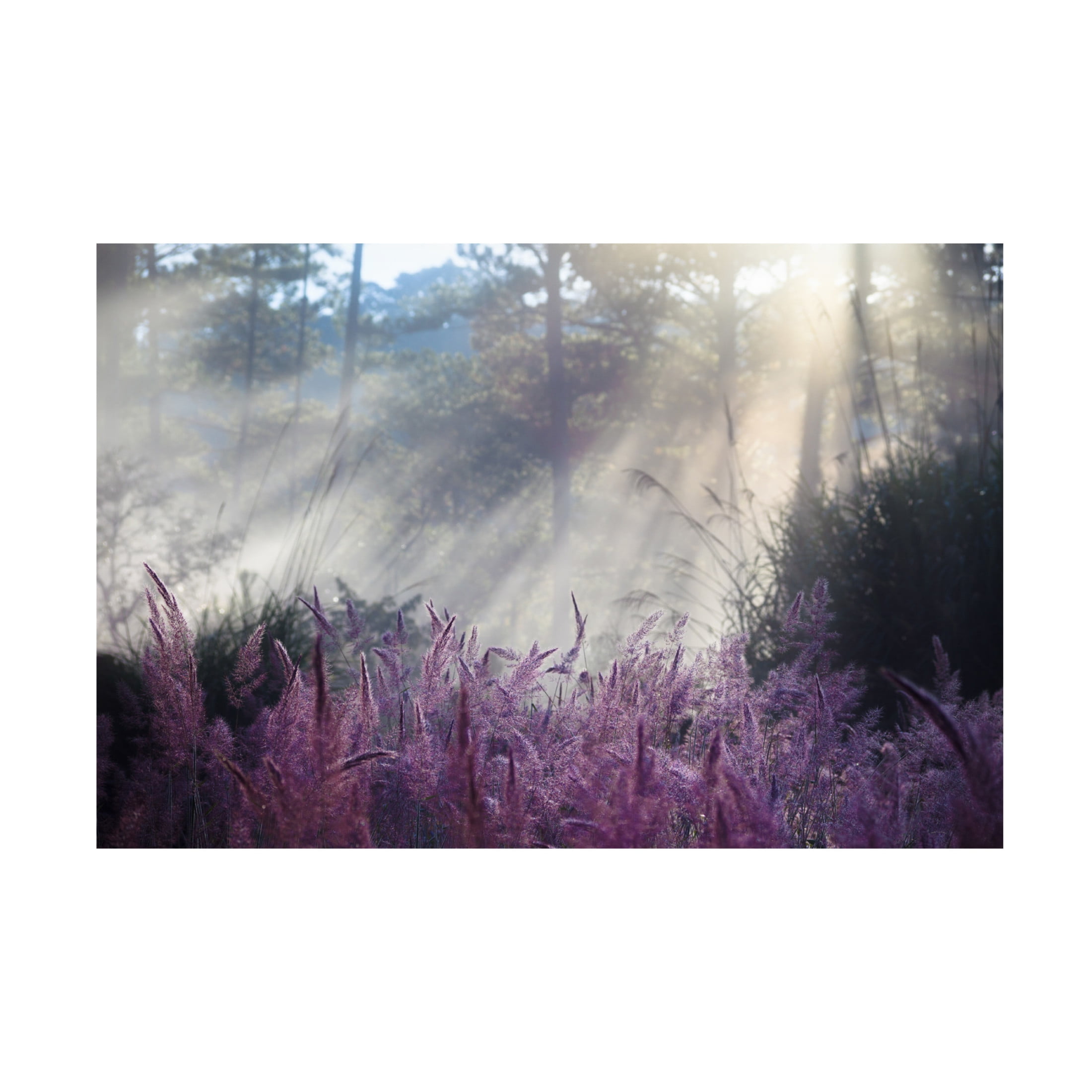 Canvas Wall Art - Nguy?n Thanh Tung 'Spring' Wall Art for Living Room, Bedroom, or Office D?cor by Trademark Fine Art - 19 x 12 Inches