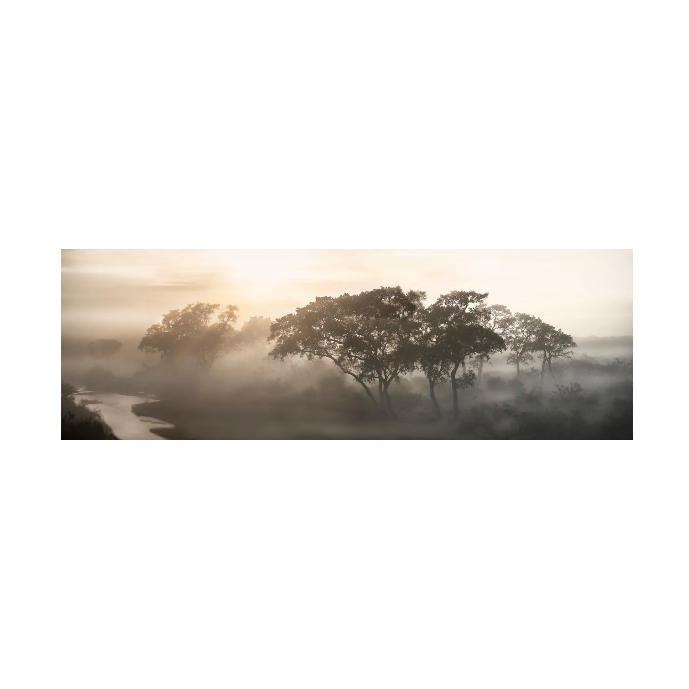 Canvas Wall Art - Nicola Molteni 'Savana Sunrise' Wall Art for Living Room, Bedroom, or Office D?cor by Trademark Fine Art - 19 x 6 Inches