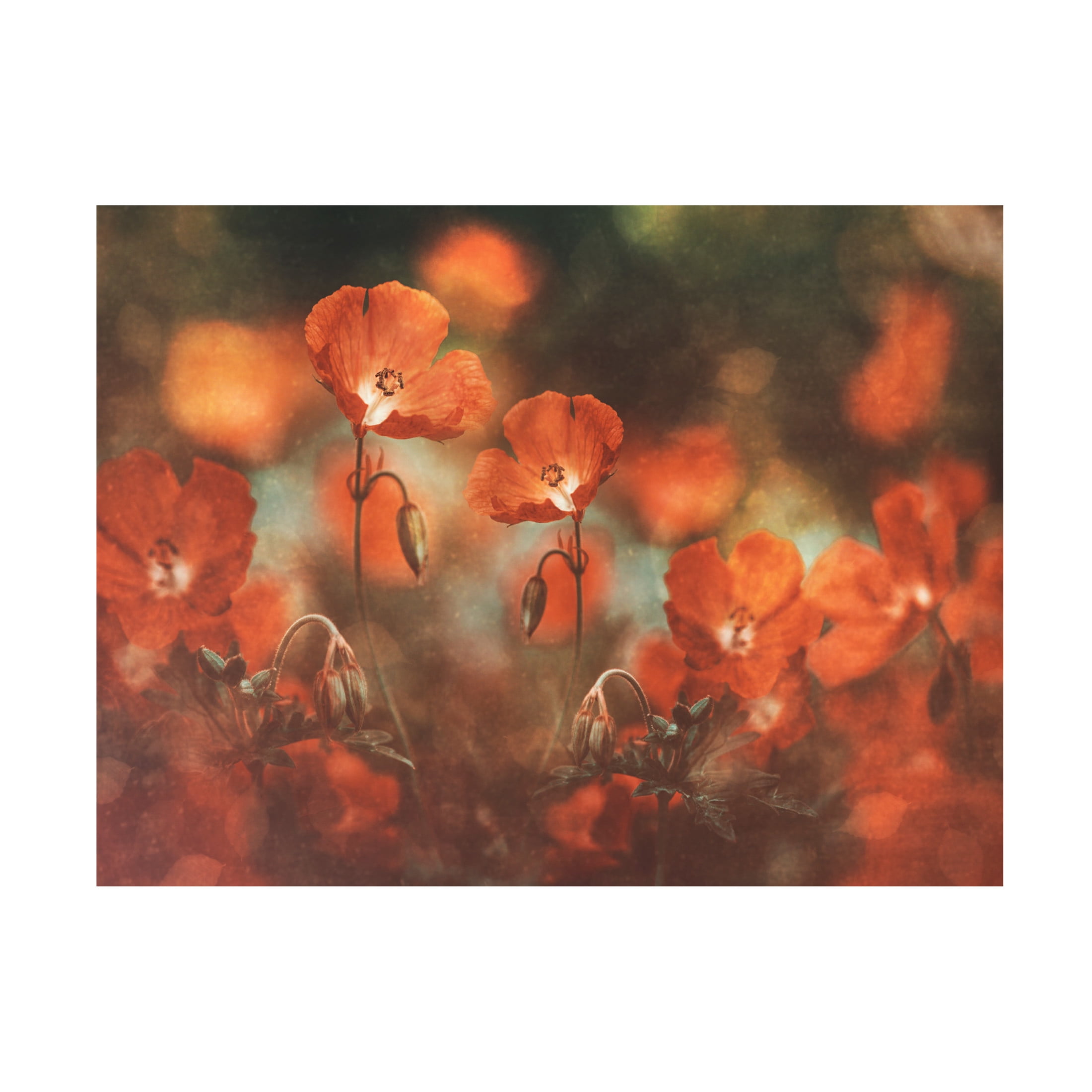 Canvas Wall Art - Nikki Georgieva V 'Floral Art In Red' Wall Art for Living Room, Bedroom, or Office Décor by Trademark Fine Art - 19 x 14 Inches