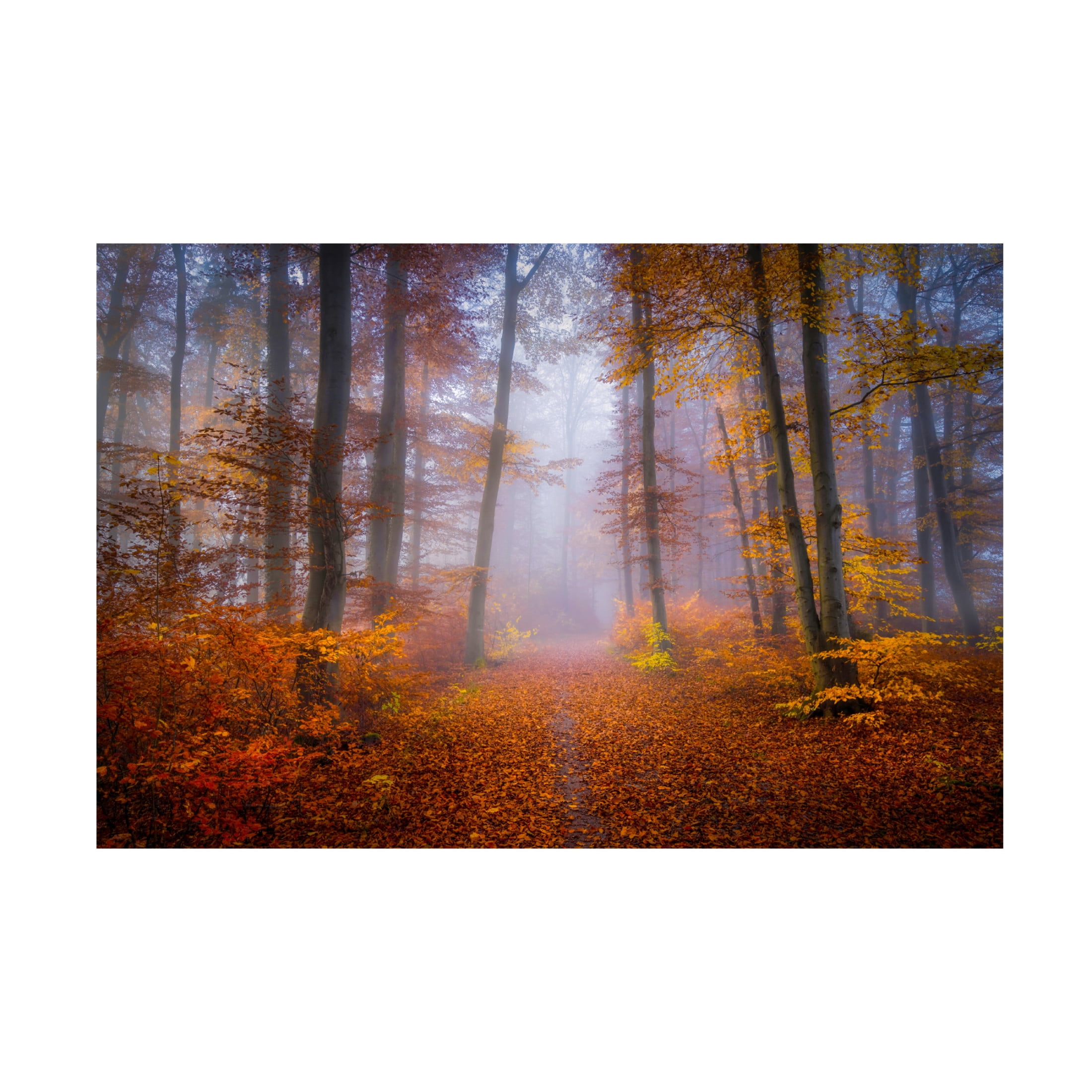 Canvas Wall Art - Norbert Maier 'October Trail' Wall Art for Living Room, Bedroom, or Office Décor by Trademark Fine Art - 19 x 12 Inches