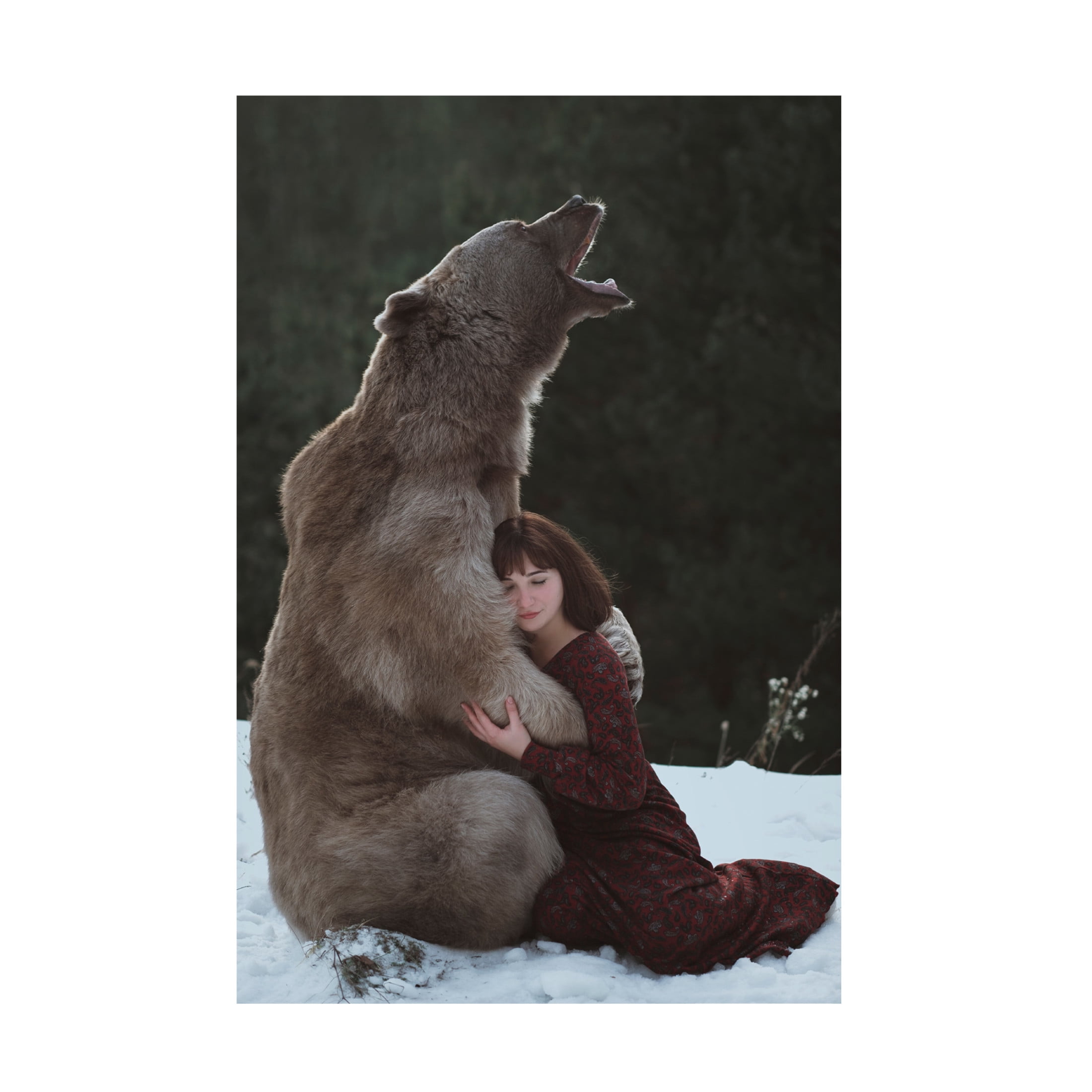 Canvas Wall Art - Olga Barantseva 'My Big Friend' Wall Art for Living Room, Bedroom, or Office D?cor by Trademark Fine Art - 22 x 32 Inches