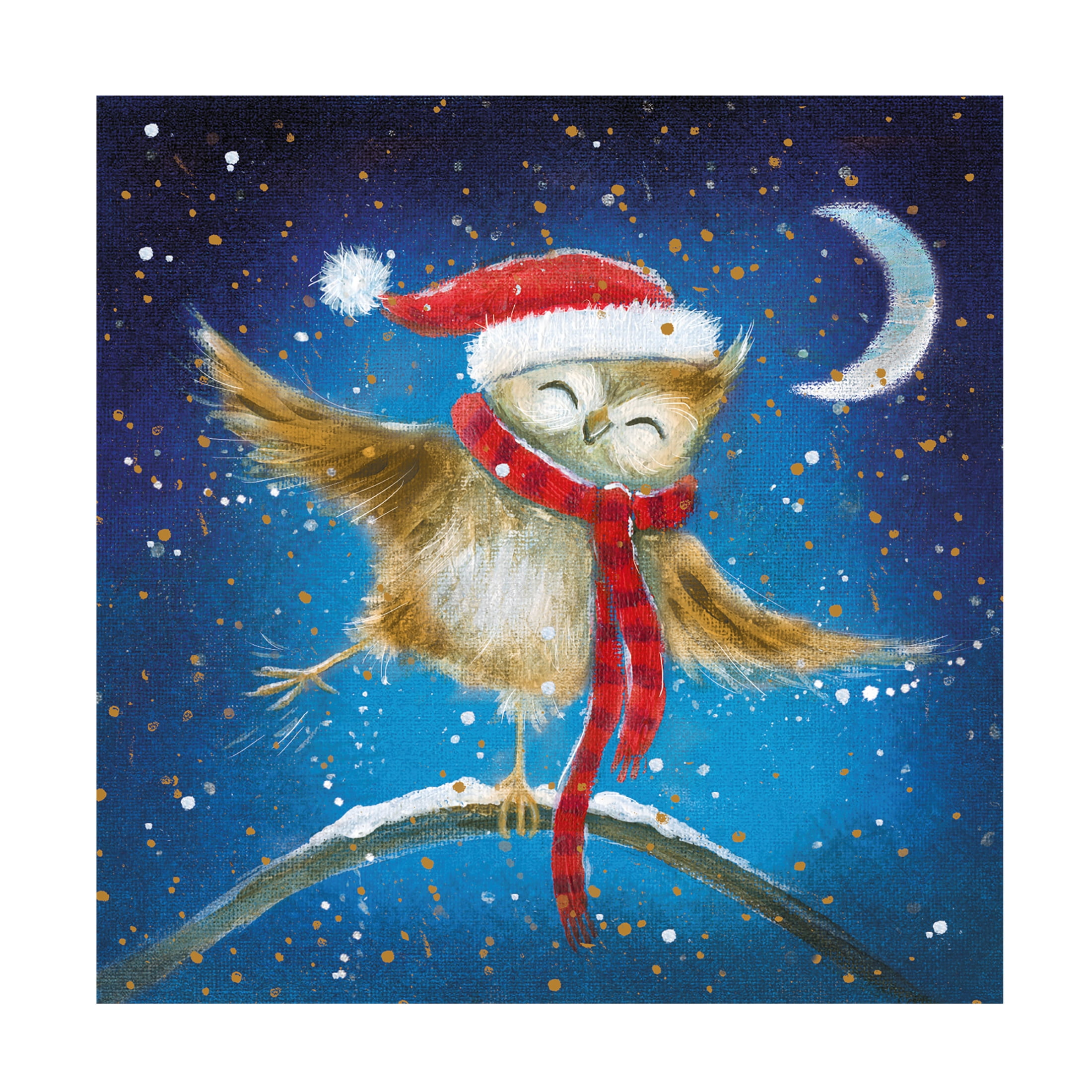 Canvas Wall Art - Paper Dove Co Ltd 'Jolly Owl' Wall Art for Living Room, Bedroom, or Office Décor by Trademark Fine Art - 14 x 14 Inches