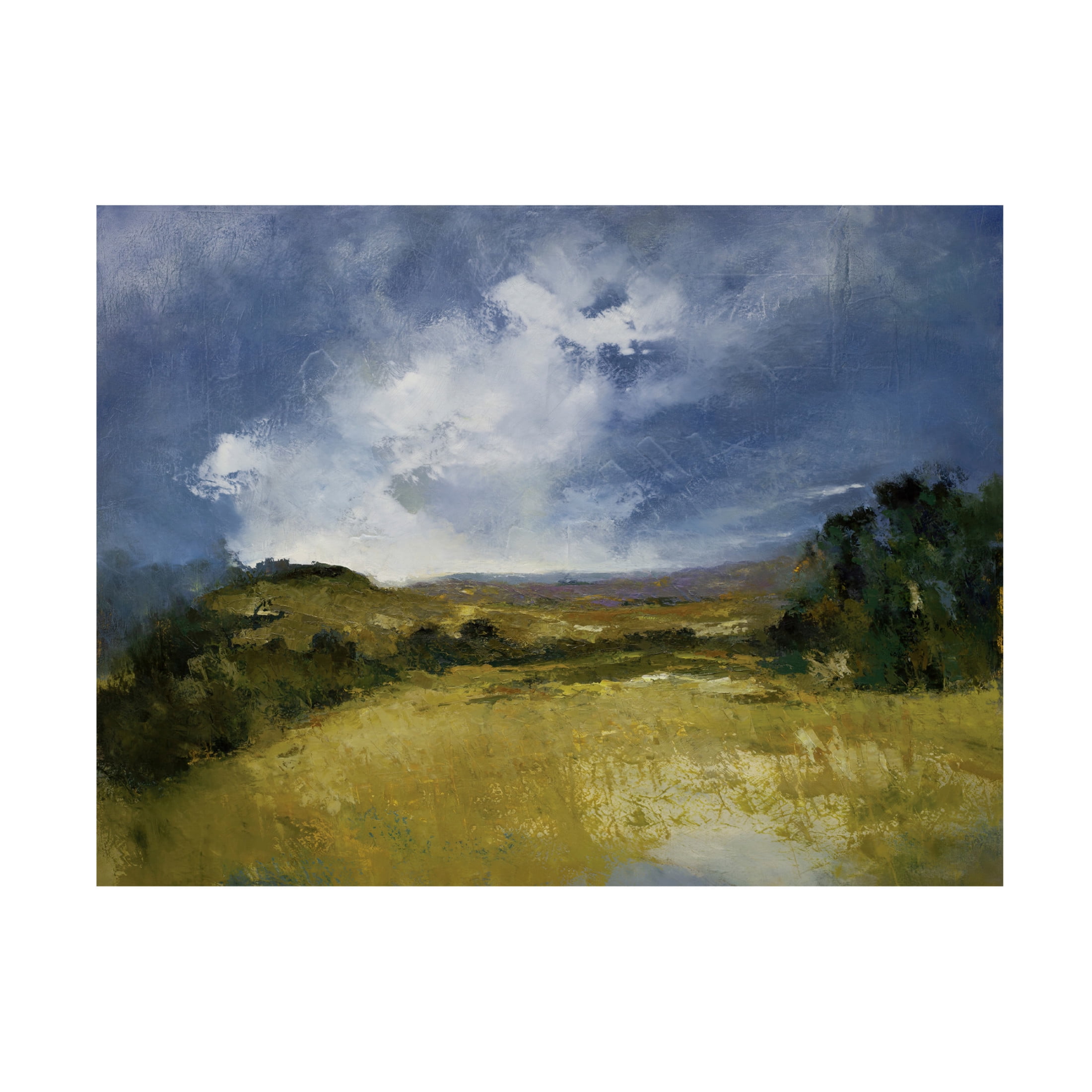 Canvas Wall Art - Patrick Dennis 'Ferrer' Wall Art for Living Room, Bedroom, or Office Décor by Trademark Fine Art - 47 x 35 Inches